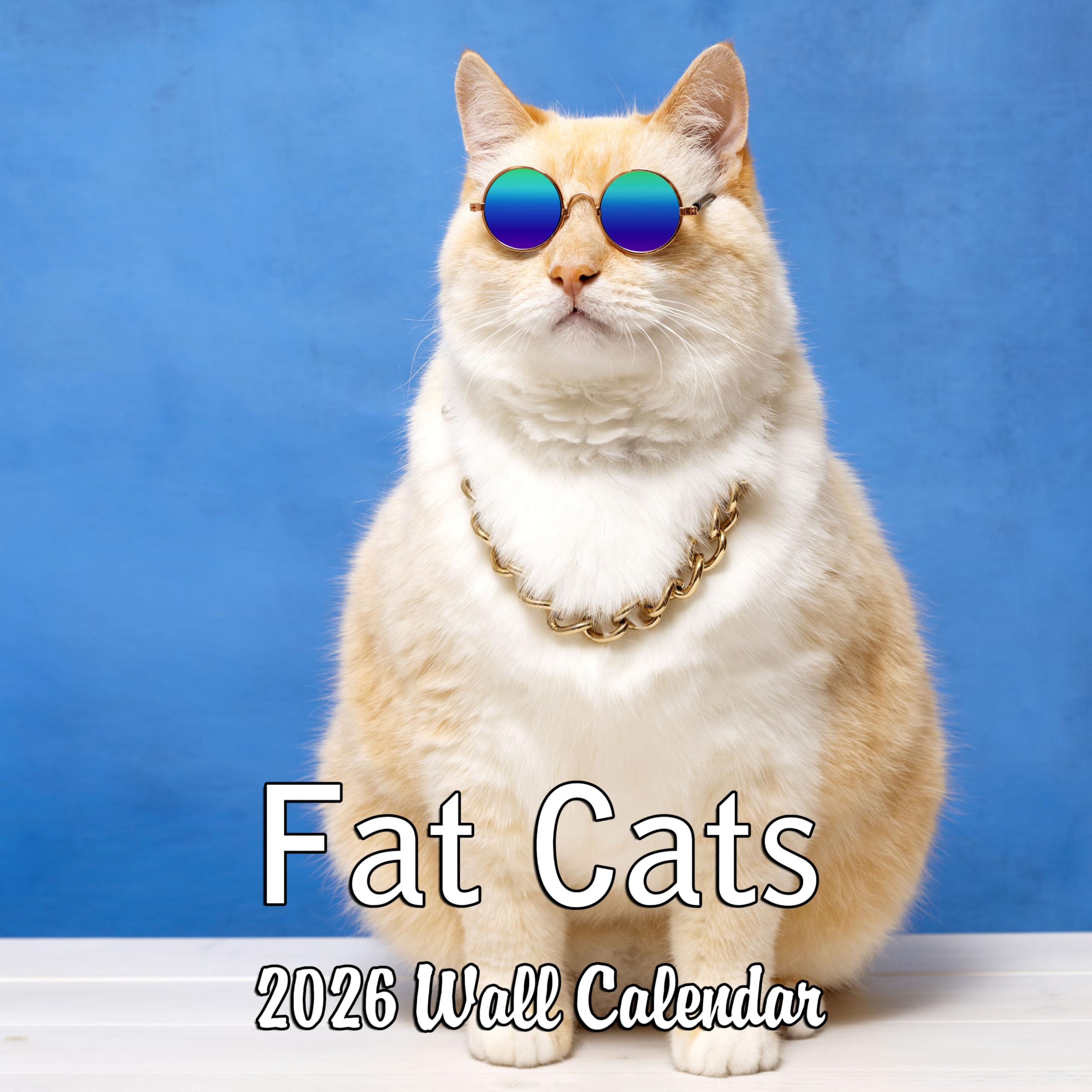 Cats (2025 Fat Cats)
