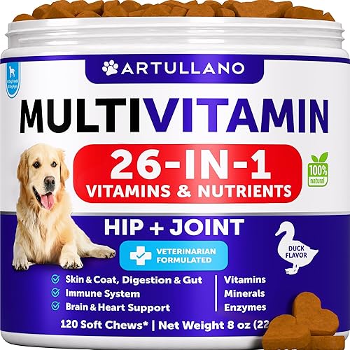 Miniatura 1 de Multivitamínico masticable con glucosamina 20 en 1 para perros  Vitaminas y suplementos para perros  Multivitamínico para adultos mayores y