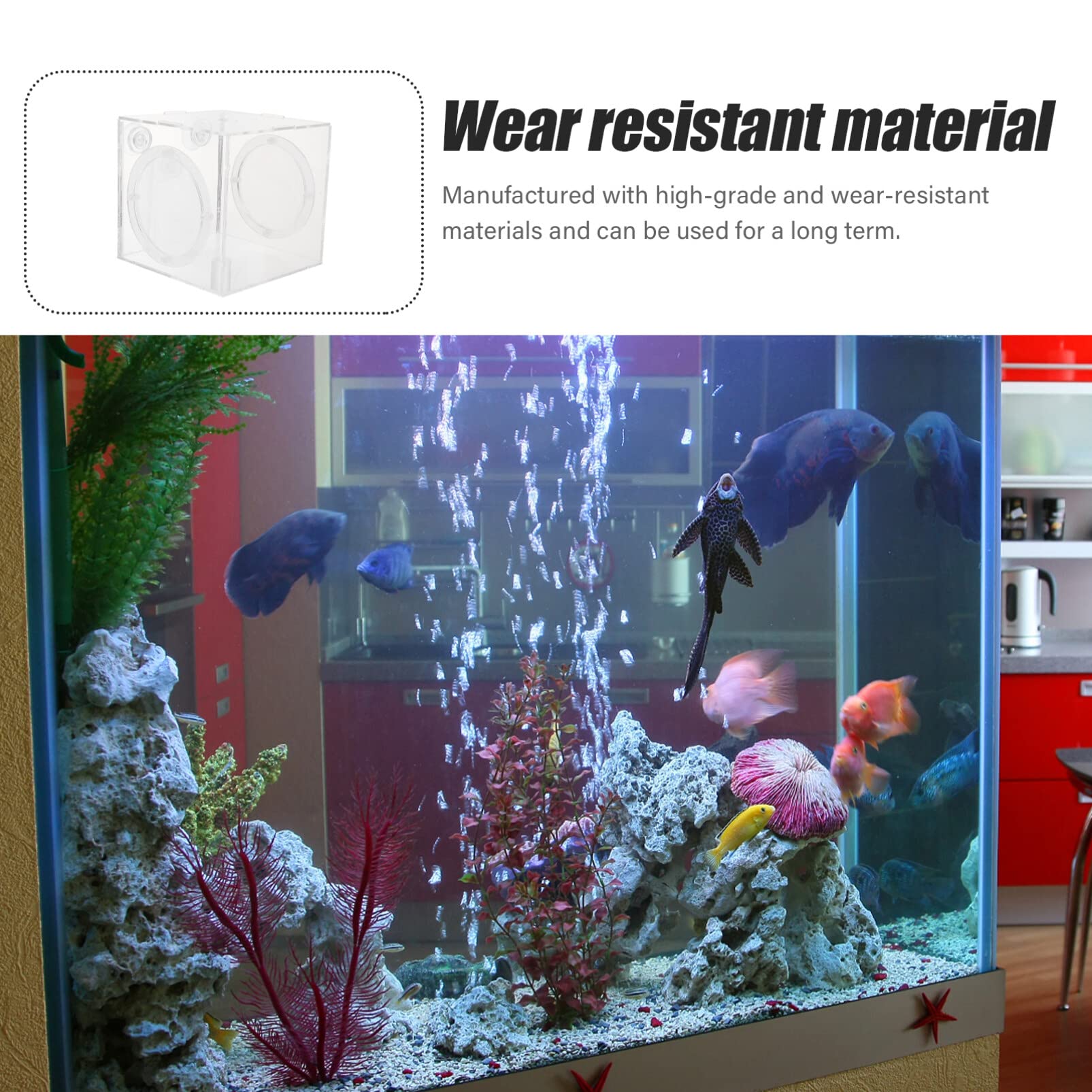 NOLITOY Fish Tank Hatching Box Baby Fish Incubator | Ubuy