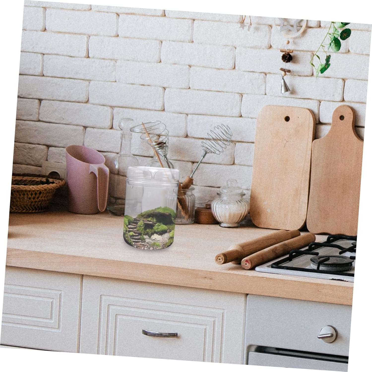 DIY Moss Terrarium Micro Landscape Bottle Glass Plant Terrarium for Bedroom Office Decor