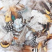 Vista 3 de 200 plumas naturales de 10 estilos surtidos de plumas para atrapasueños y manualidades (10 estilos - 200 piezas)