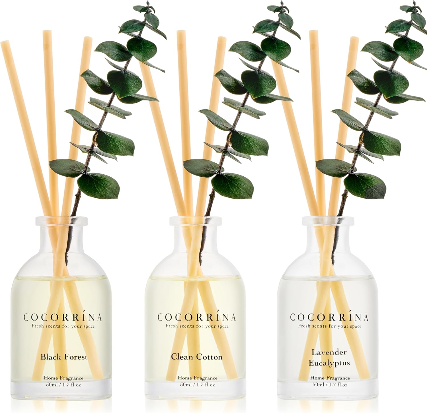 COCORRÍNA Eucalyptus Reed Diffuser Set of 3: Lavender Eucalyptus, Black Forest, Clean Cotton Scents | 5.1oz Natural Oils for Home, Office, Bathroom