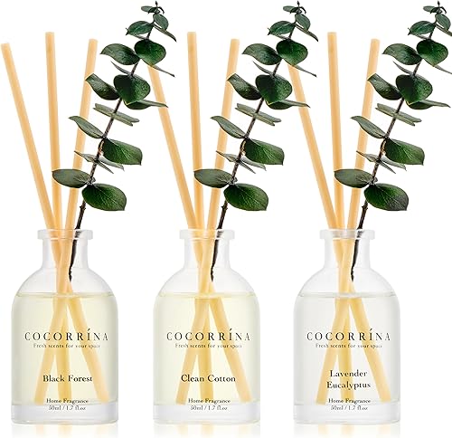 COCORRÍNA Eucalyptus Reed Diffuser Set of 3 - Lavender Eucalyptus, Black Forest, Clean Cotton Scents, 1.7 fl oz Each, Total 5.1 oz, Scented Oil