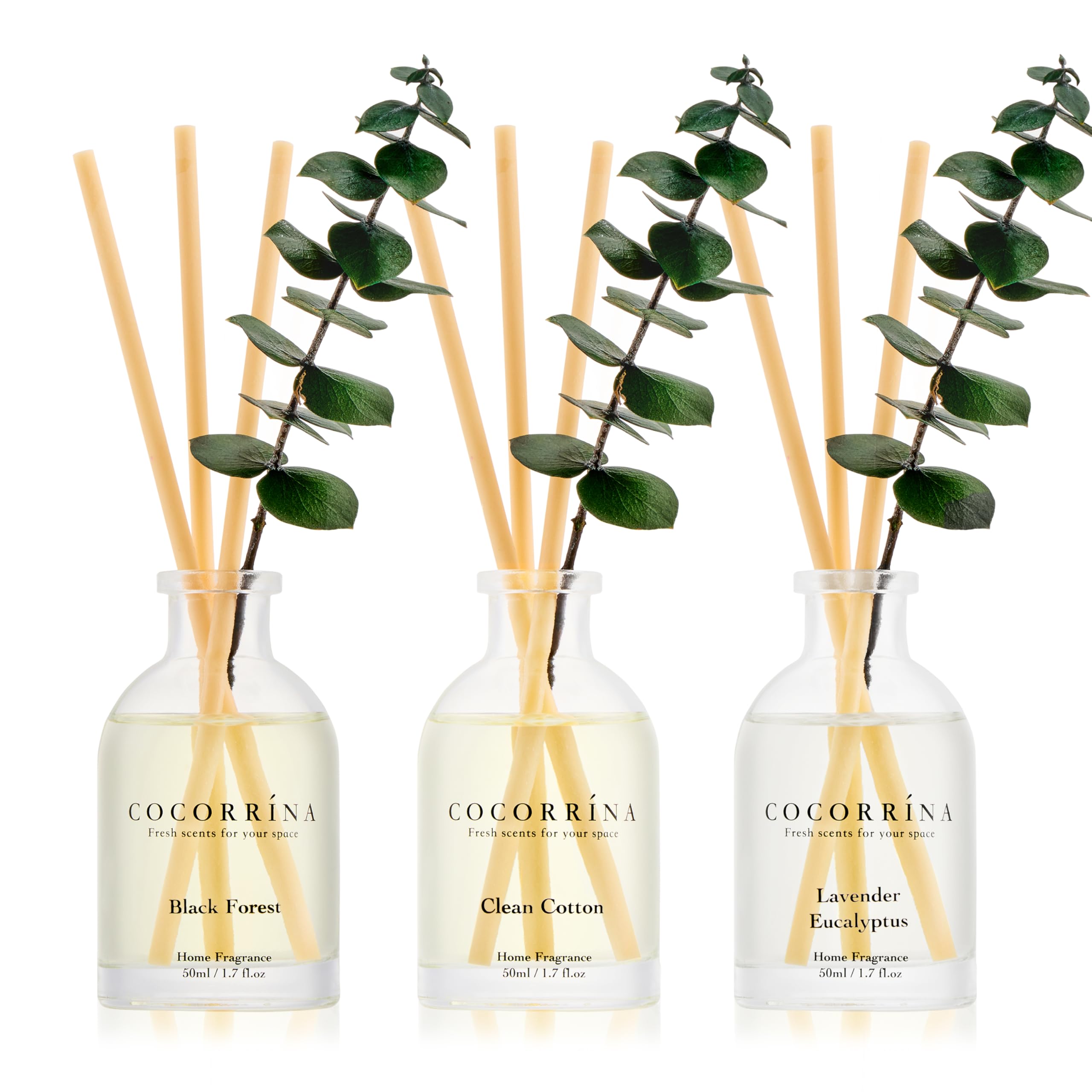 COCORR NA Eucalyptus Reed Diffuser Set of 3 - Lavender Eucalyptus Black Forest Clean Cotton Scents 1 7
