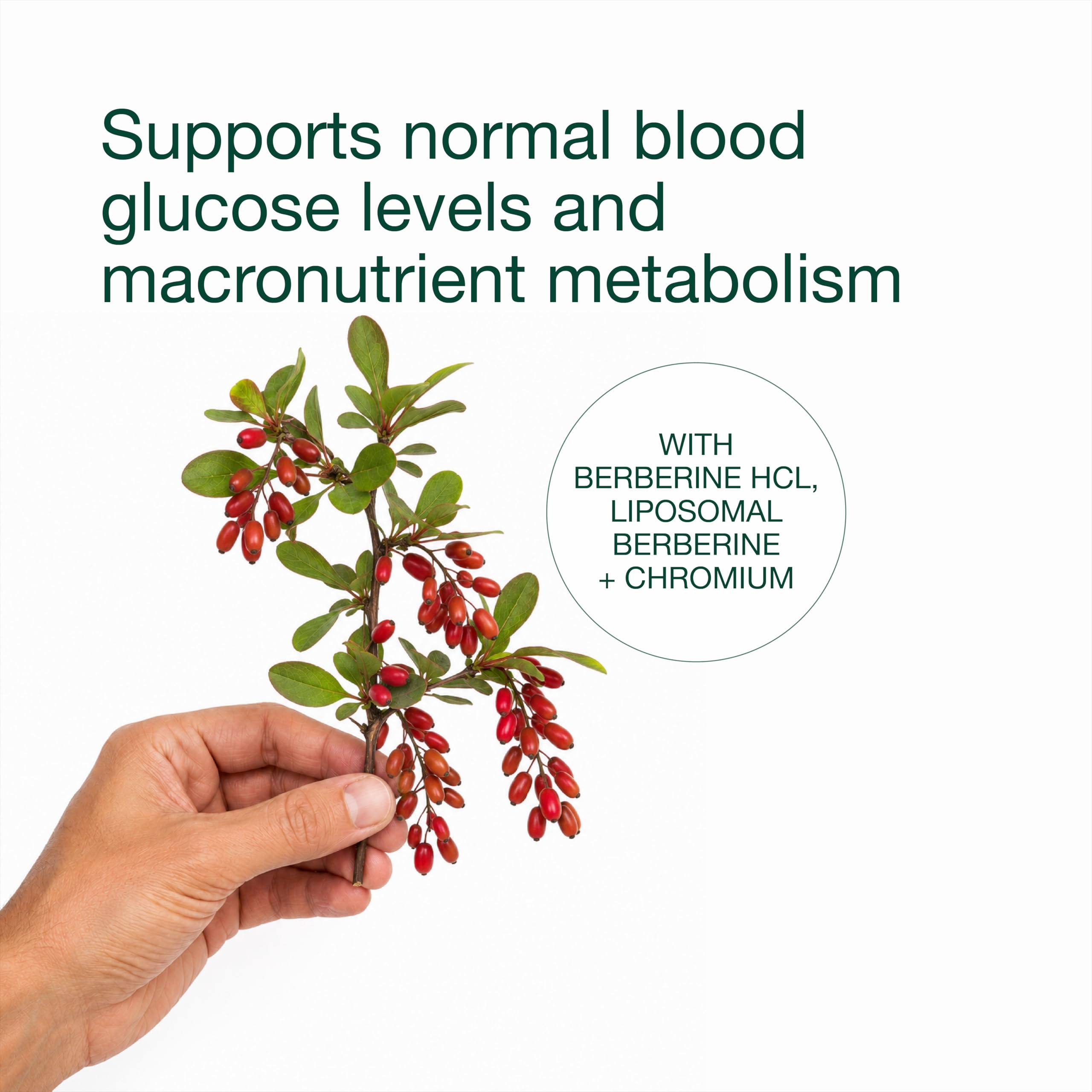 Berberine Complex 60 Cápsulas Veganas Complejo avanzado de entrega de berberina Mayor biodisponibilidad