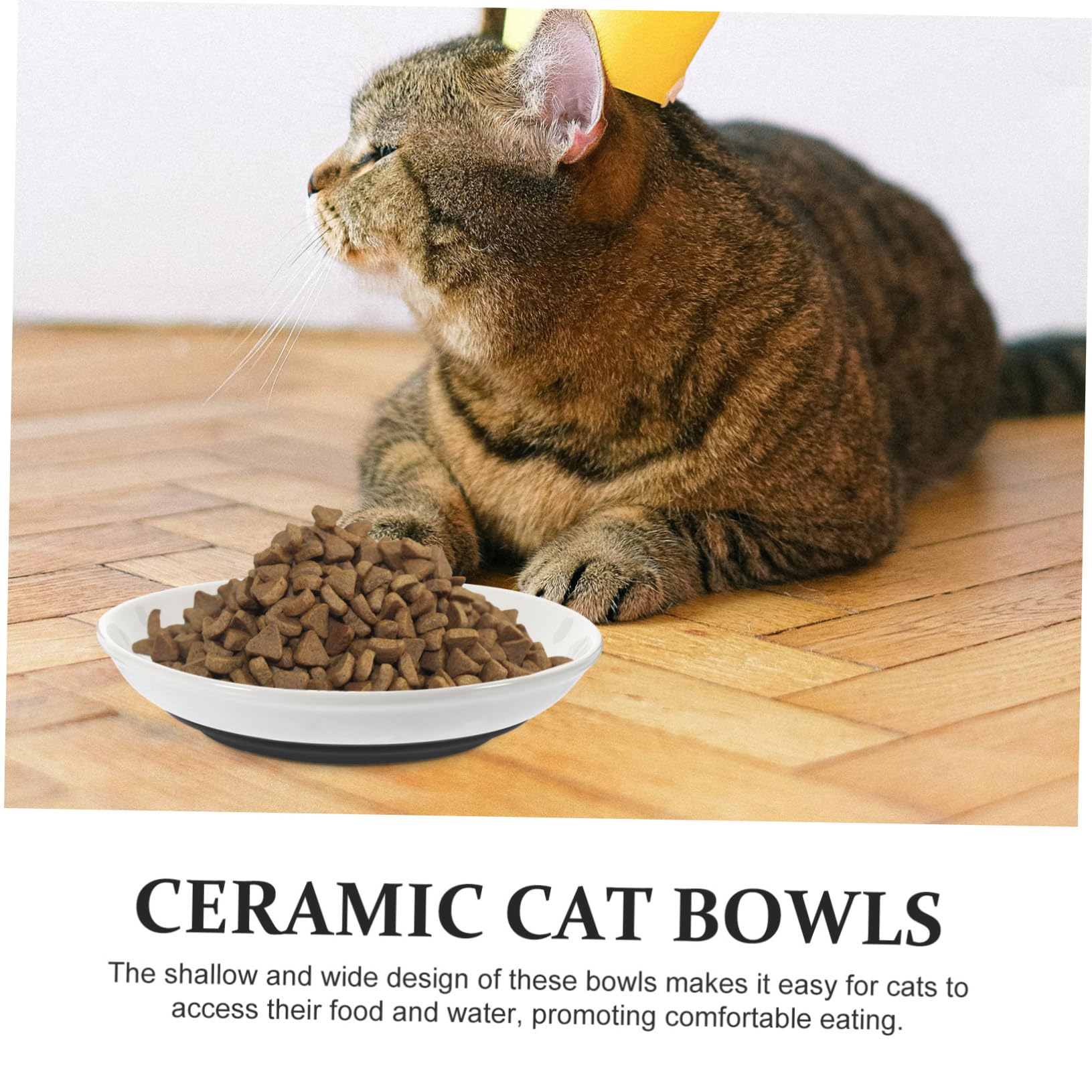 VANZACK Ciotola per Gatti in Ceramica, 3 Pezzi, Bassa e Ampia, Fondo Antiscivolo in Silicone, per Piccoli Gatti, Pappa e Acqua
