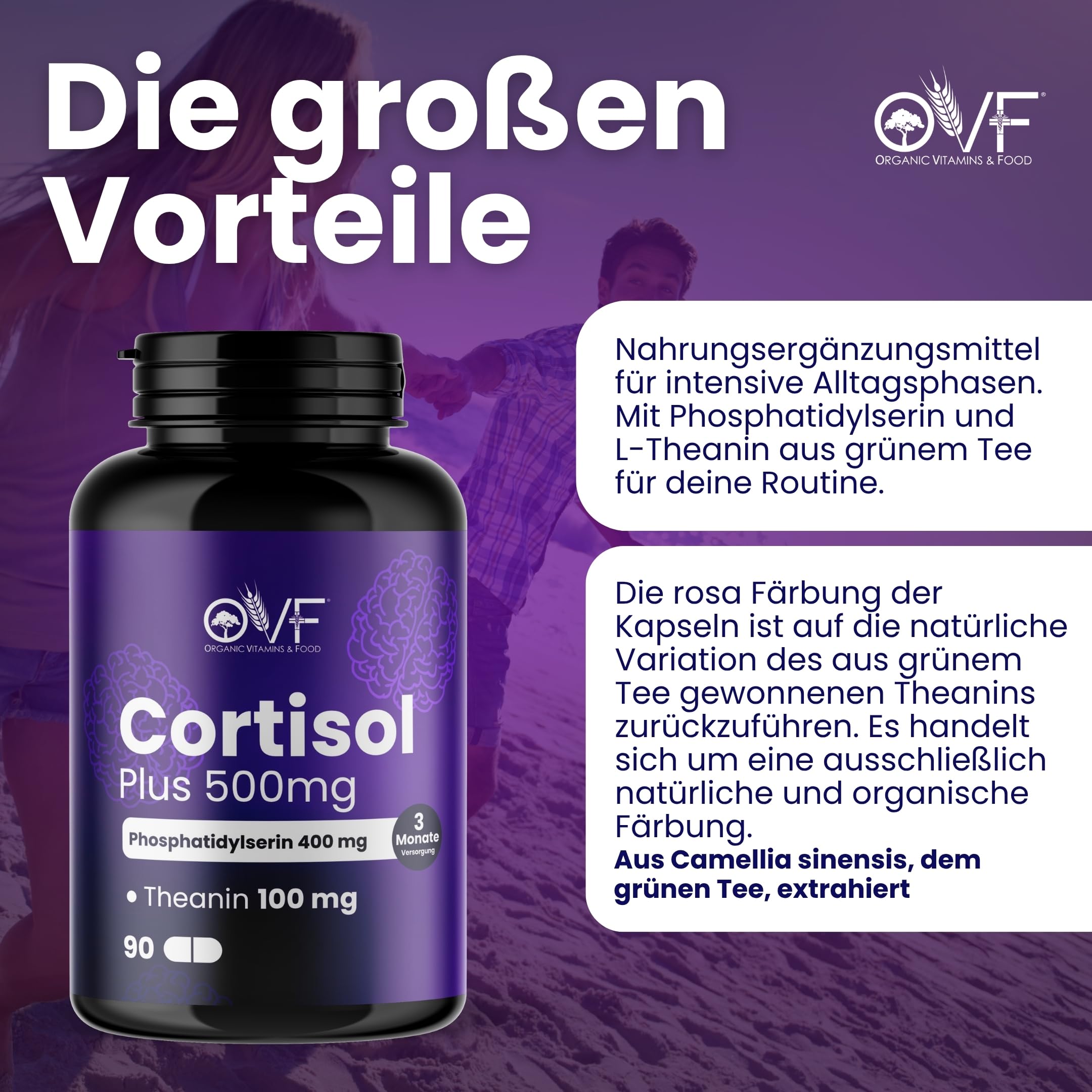 OVF Phosphatidylserin 400 mg + L-Theanin 100 mg pro 90 vegane Kapseln Hochdosiert Ohne Gluten, Laktose, Zucker & Nickel Made in Italy