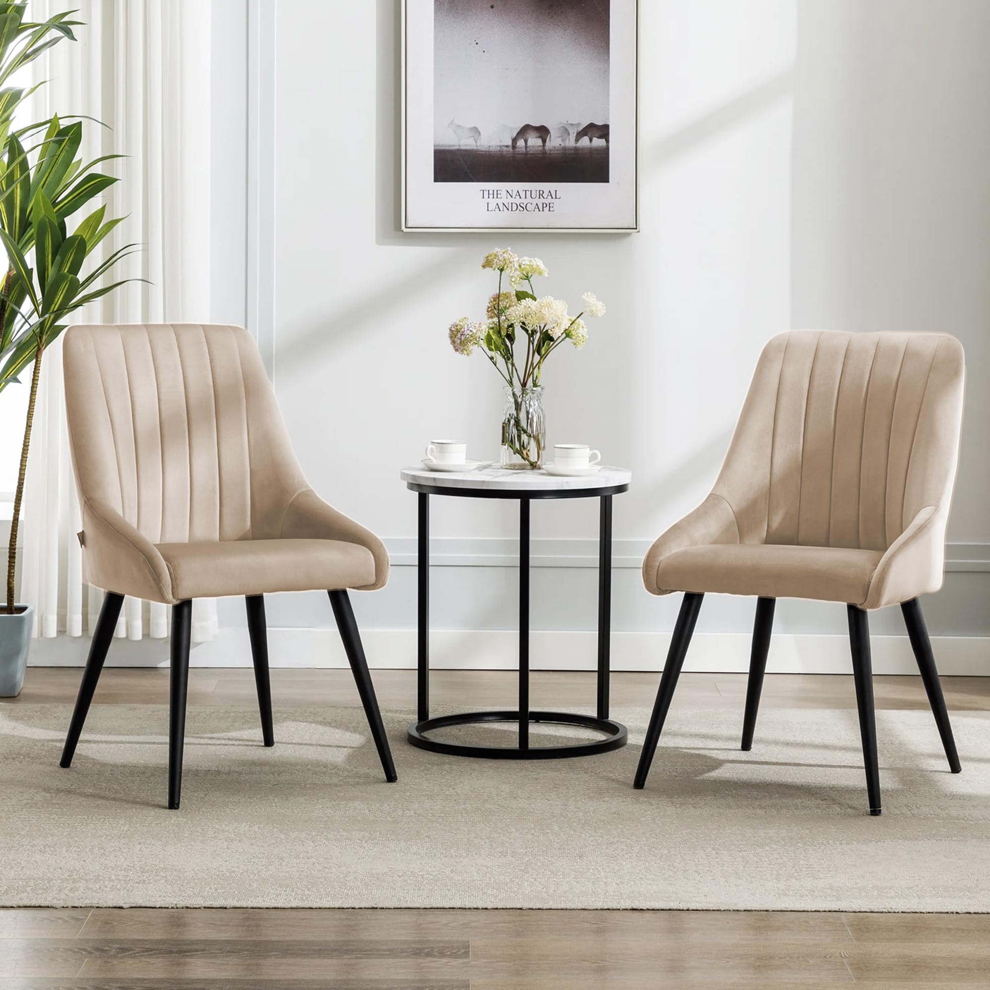 Finch Fox® Morris Velvet Dining Chair for Living Room, Bedroom, Home Office with Black Metal Legs in Cream Color (Set of 2)-image-49
