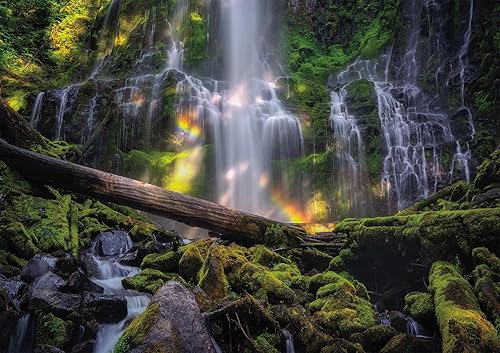 Buffalo Games - Oro - Pacific Northwest - Rompecabezas de 500 piezas para adultos desafiante rompecabezas perfecto para noches de juego - 500 piezas