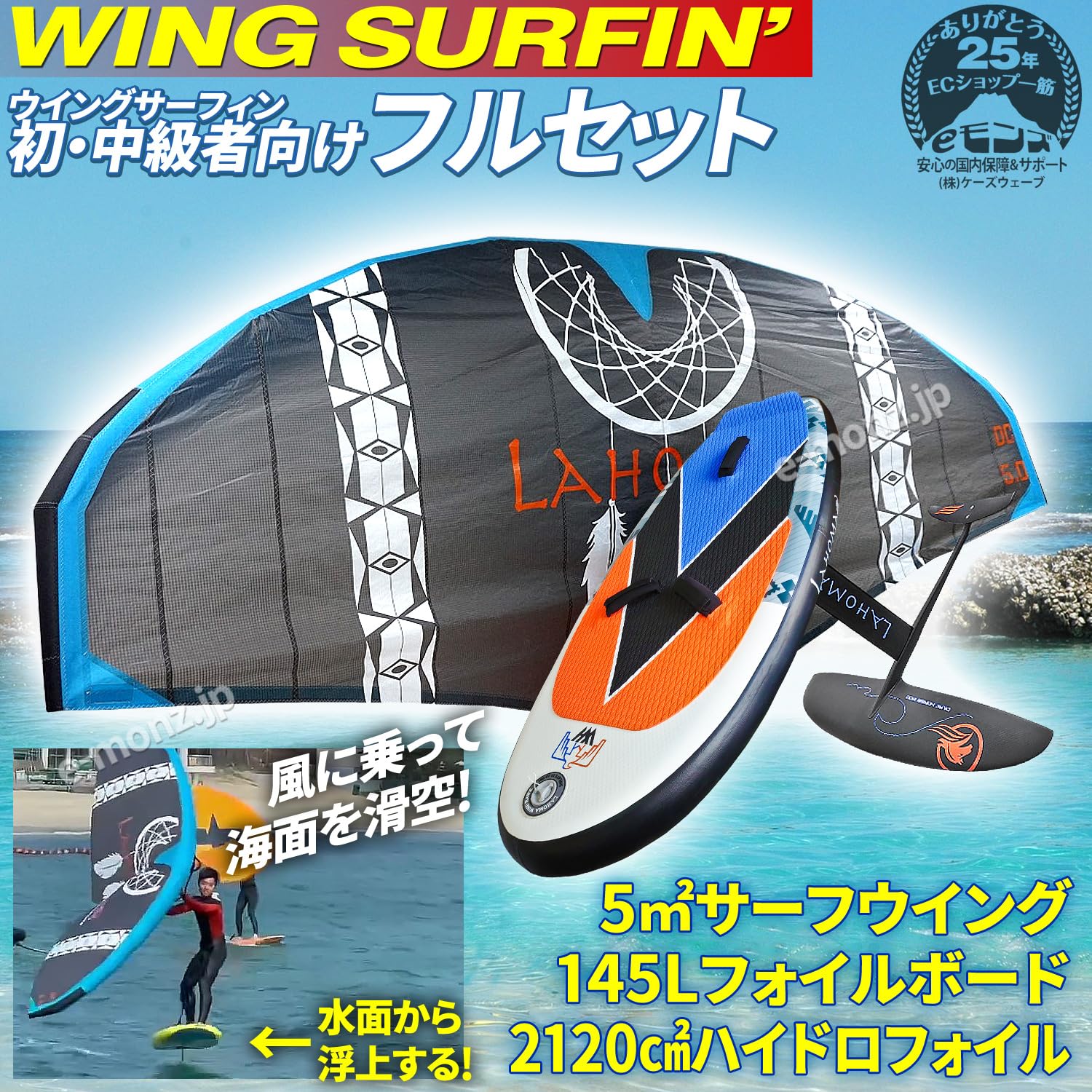 ブループラネットボード foilウィングセット ケース付 ブループラネットボード foilウィングセット ケース付 ブルー