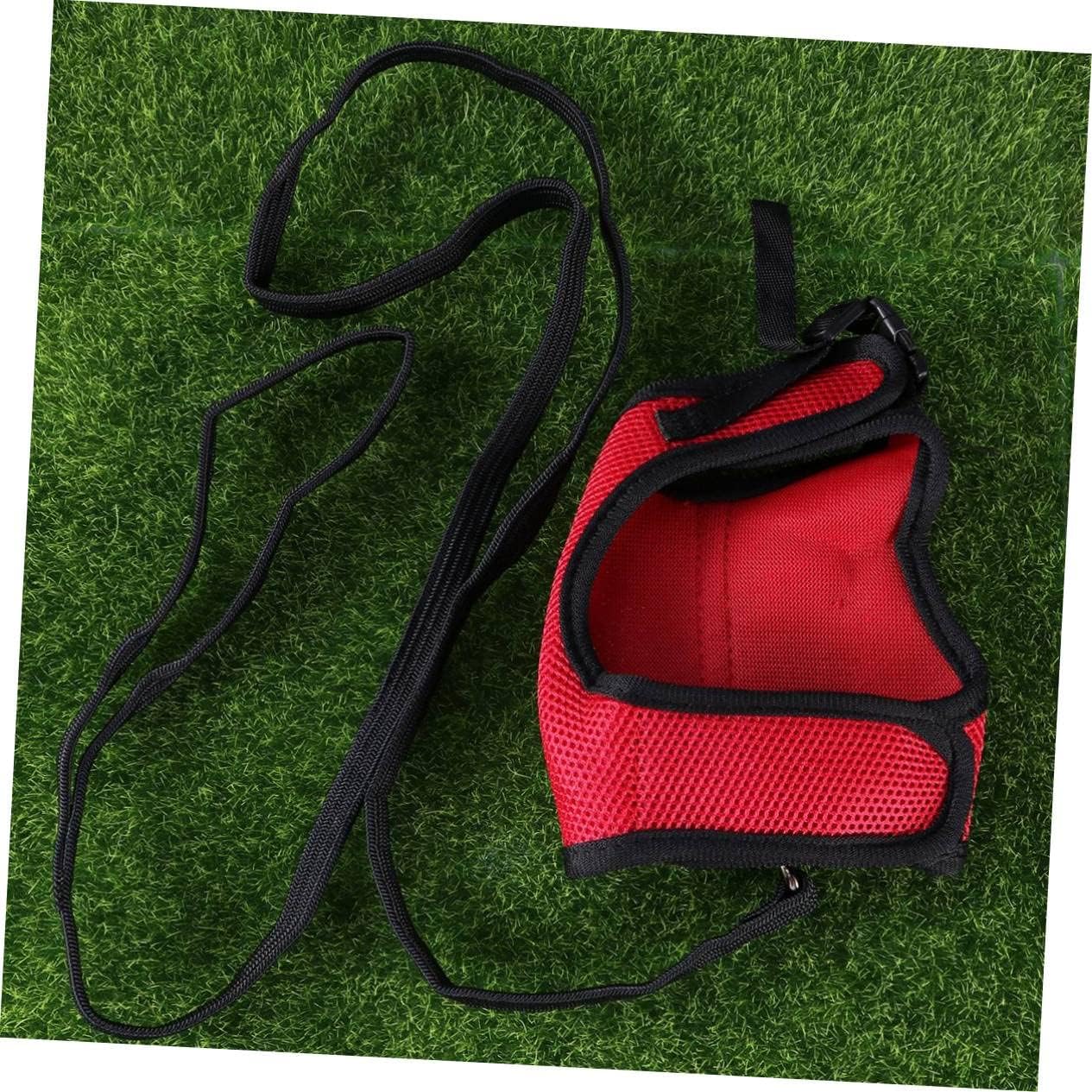 Round Mold for English Muffins - Griddle Cooking Shaper for Breakfast 3pcs Bunny Leash Lead Rope Hamster Handle Vest Cage Small Pet Harness Pull Dog Pet Breed Pet Carrier Rabbit Leash Bunny Harness Pe