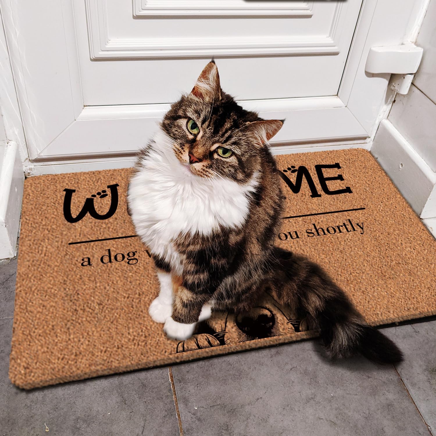 Funny Dog Welcome Mats for Front Door, Golden Retriever Mat Outside Entrance Indoor Outdoor Entryway, Keep Door Closed Sign Paw Print Doormat, 30x17 Inch