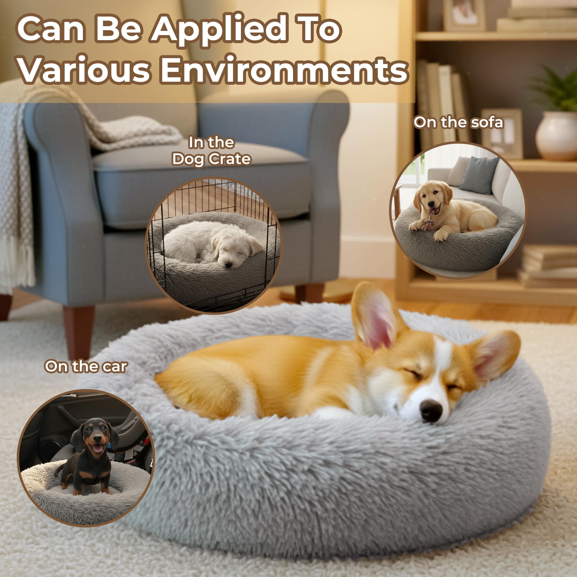 https://m.media-amazon.com/images/I/81P9-7AkFCL.jpg