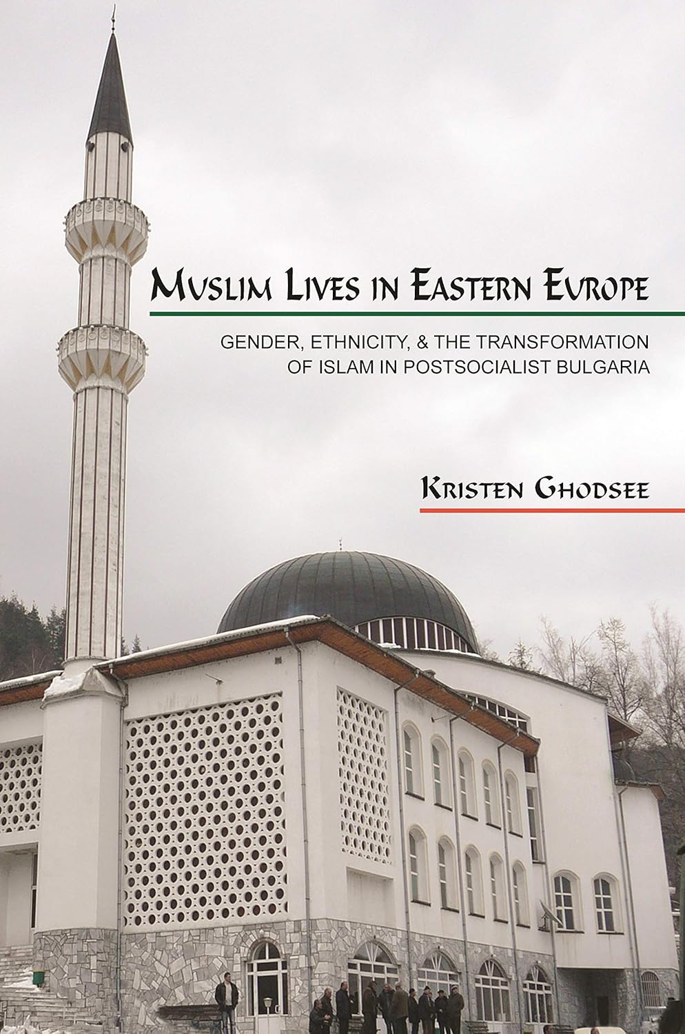 Muslim Lives in Eastern Europe: Gender, Ethnicity, and the Transformation of Islam in Postsocialist Bulgaria (Princeton Studies in Muslim Politics Book 29)      Illustrated Edition, Kindle Edition