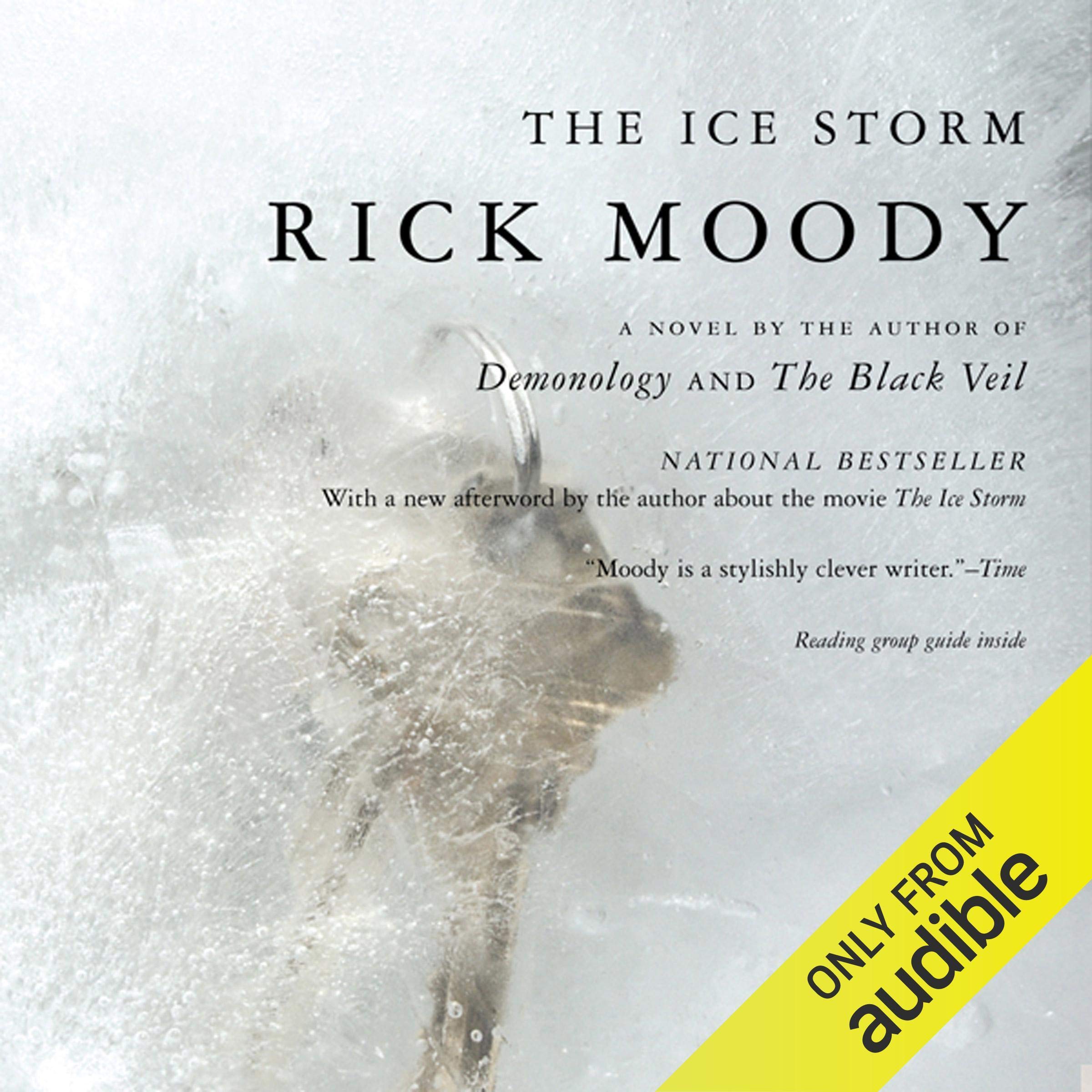 Cover art for The Ice Storm