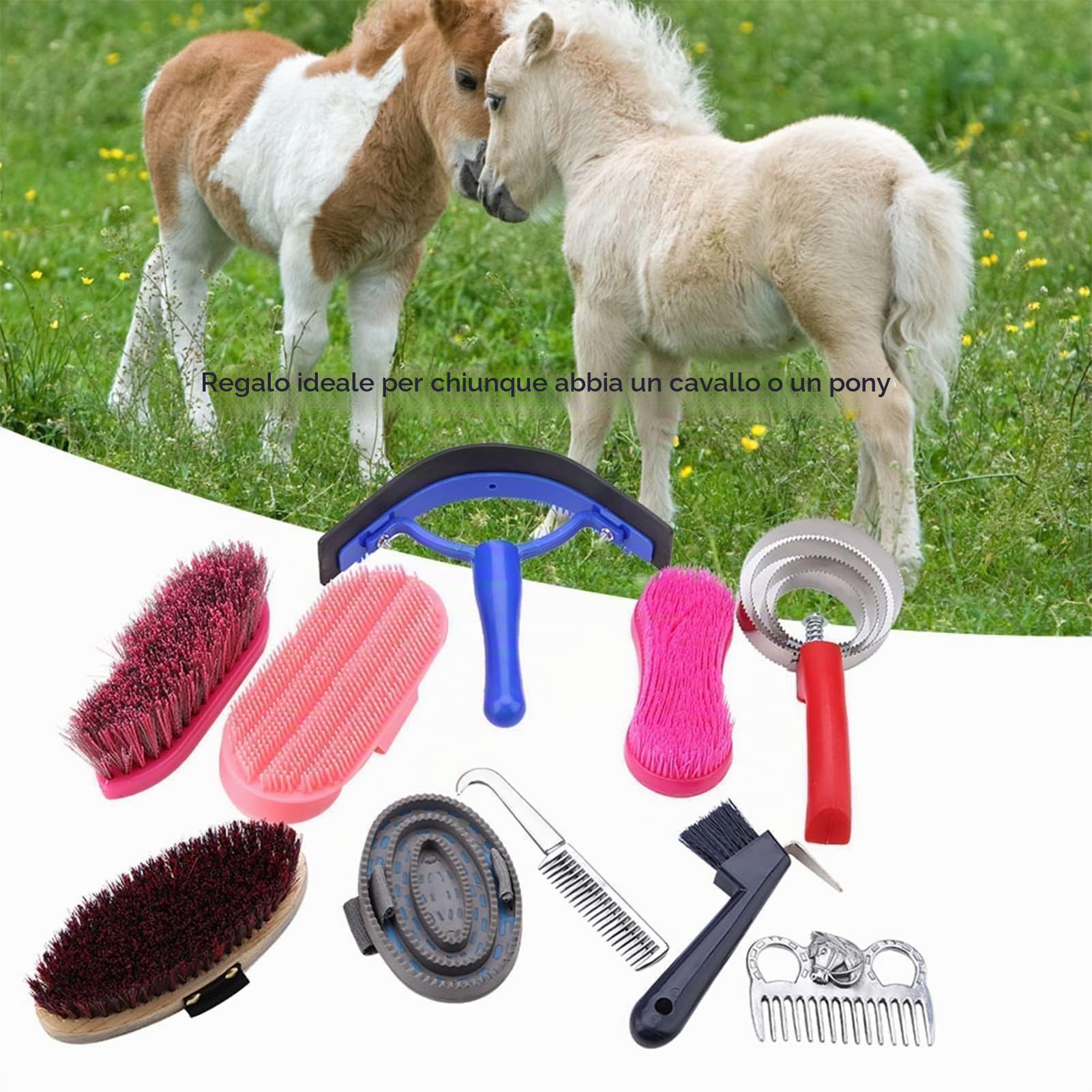 10 Pezzi Kit Per Tolettatura del Cavallo, Set di Forniture Per Tack Room Set di Spazzole Per Cavalli Forniture Per Il Bagno del Cavallo Per Cavalieri Principianti