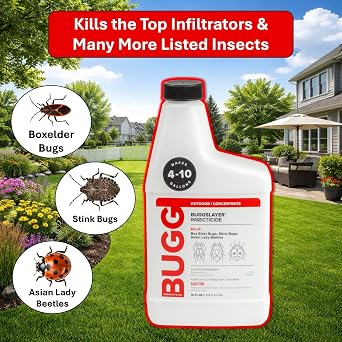 BUGGSLAYER Insecticide Concentrate Outdoor Insect Control - 16 oz Bottle | Outdoor use, Control Box Elder Bugs, Stink Bugs, Asian Lady Beetles, Armyworms, Ants & Many More, Odorless, Non-Staining