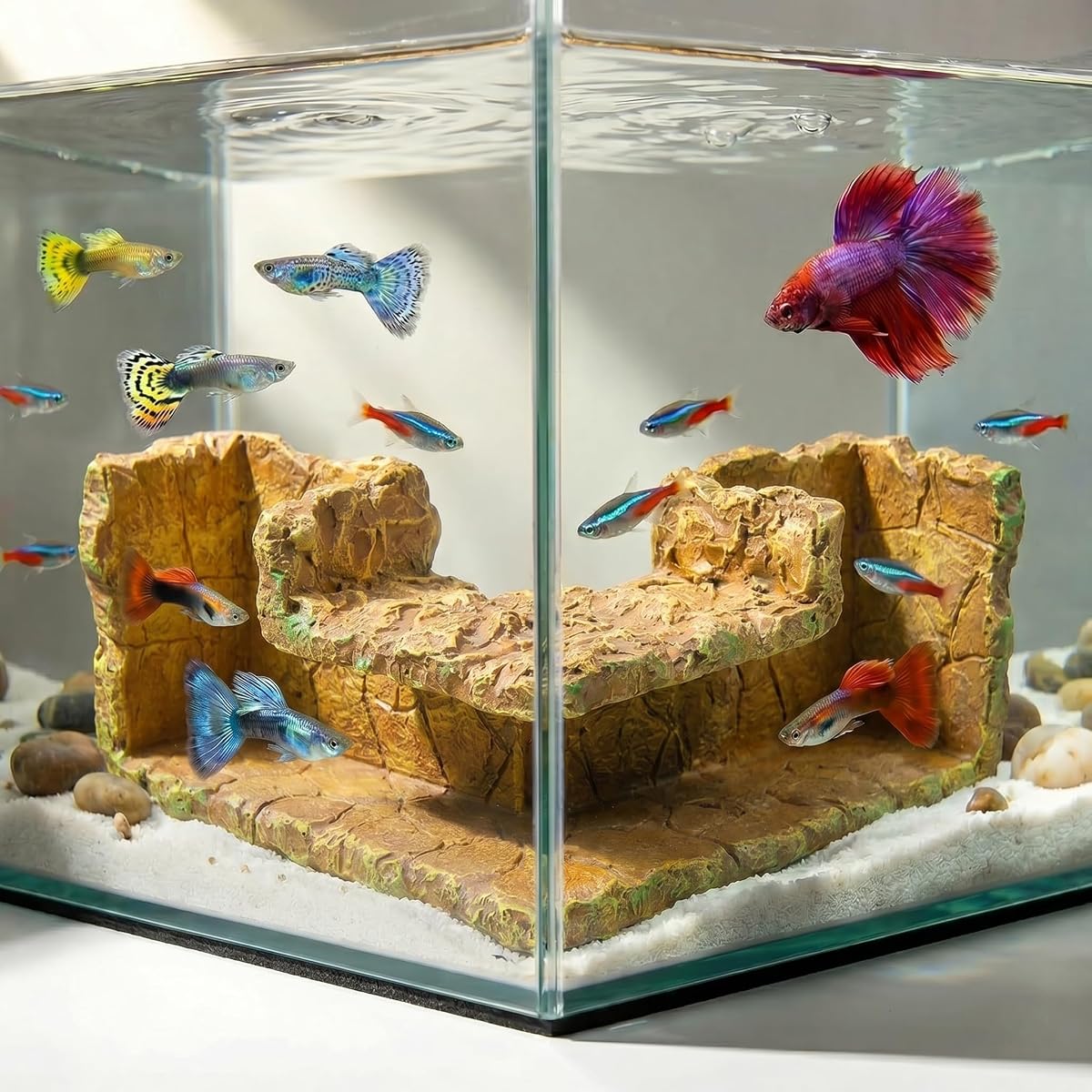 Aquarium Cave, Natural Resin Rock Hideout for Betta Fish Tank | 5.1-Inch Smooth Fish Tunnel, Natural-Look Aquarium Decoration for Guppy, Neon Tetra, Corydoras Catfish and Small Fish