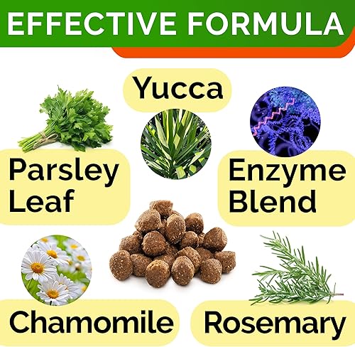 Miniatura 4 de STRELLALAB No Poo Treats para perros  Disuasorio para comer heces de coprofagia  No comer caca para perros  Enzimas digestivas  Salud intestinal y