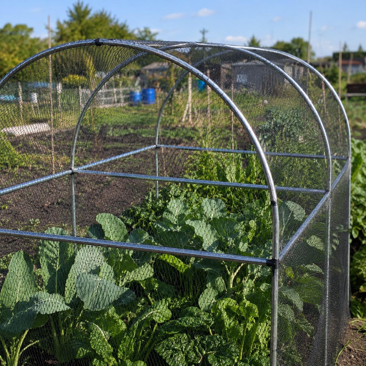 Tall Domed Fruit Vegetable Garden Cage Frame - Various (1.2m Long)
