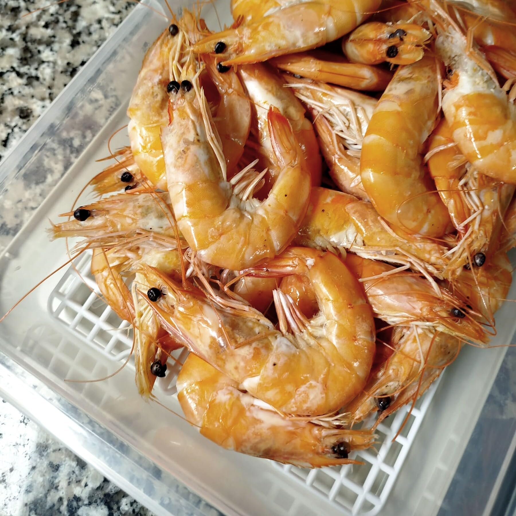 Pack 12 Bandejas Descongelar Alimentos 4,2L Tapa Verde y Rejilla Antigoteo | 36 x 24 x 8,5cm. Sin BPA. Recipiente para descongelación más higiénica. Ideal cocinas, restaurantes, hostelería y cátering