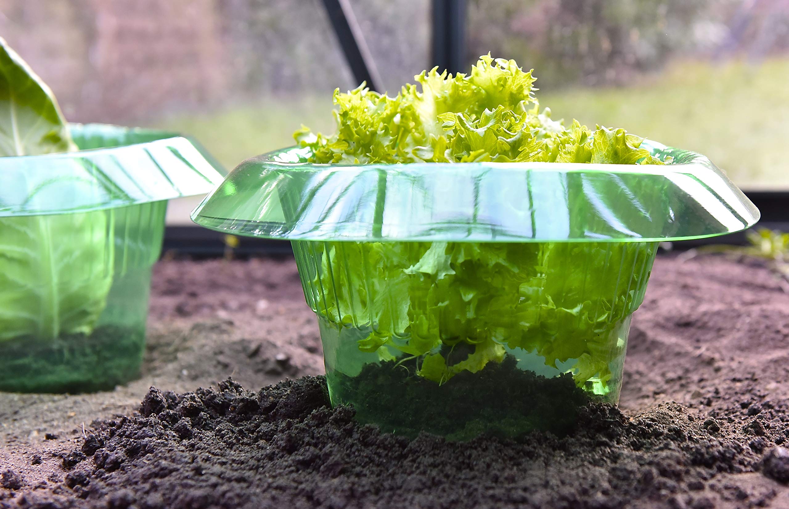 Generisch Schneckenschutzring - Wirksamer Schutz Ihrer Jungpflanzen vor Schnecken - ∅ 14-20 cm - grün - 10er Set