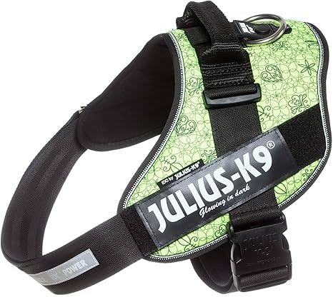 julius canine harness amazon