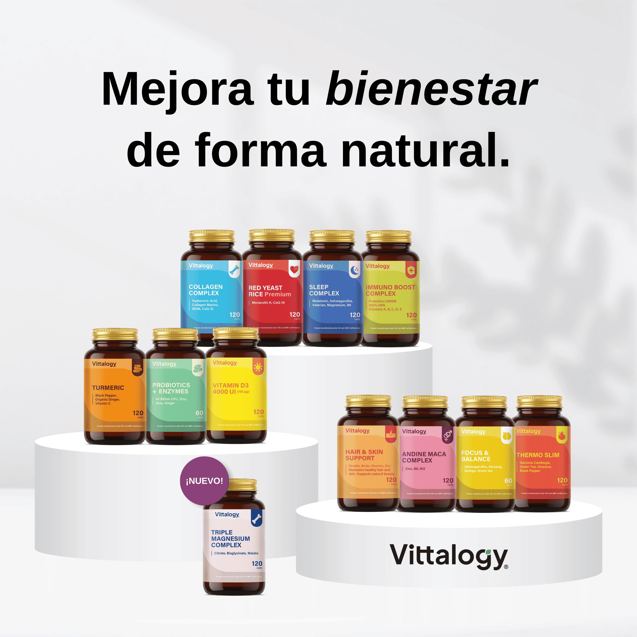 Focus & Balance Complemento Alimenticio Nootrópico con Ashwagandha Sensoril® para Memoria y Concentración. Suplemento de Té Verde, Ginseng y Vitaminas B3, B5 y B1 para Estudiar. 180 Cápsulas