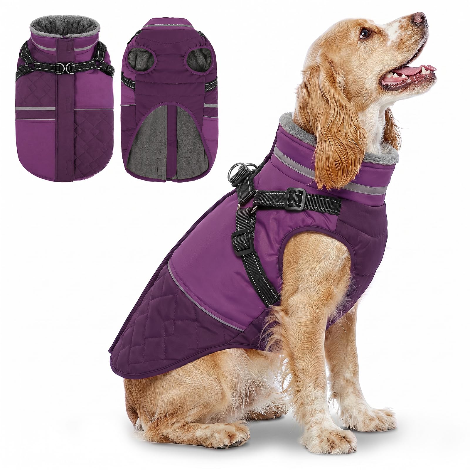 Queenmore Dog Coats Waterproof Medium Size With Harness, Purple, M
