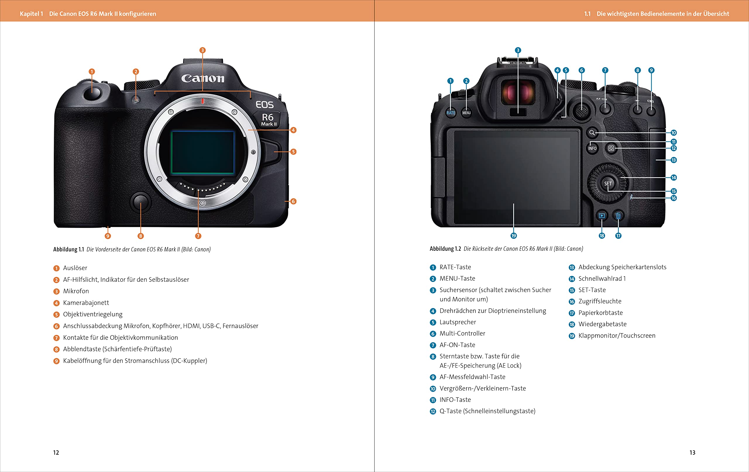 Canon EOS R6 Mark II: Das Handbuch zur Kamera. Besser fotografieren und filmen mit der spiegellosen Vollformat-Kamera