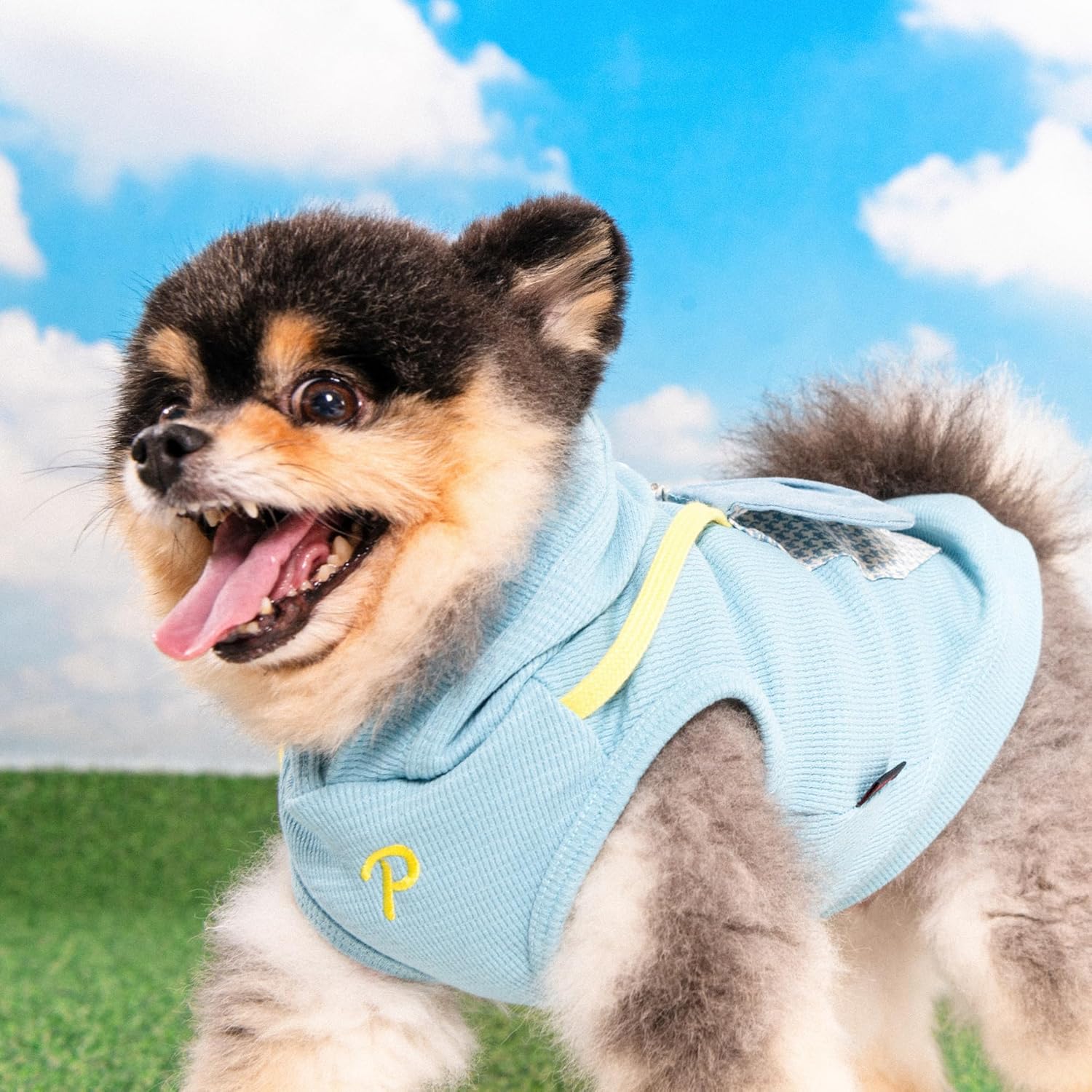 Puppia Lessie Dog Shirt Hooded Trendy Fashionable Cute Dog Apparel for Small and Medium Dogs, Blue, X-Large