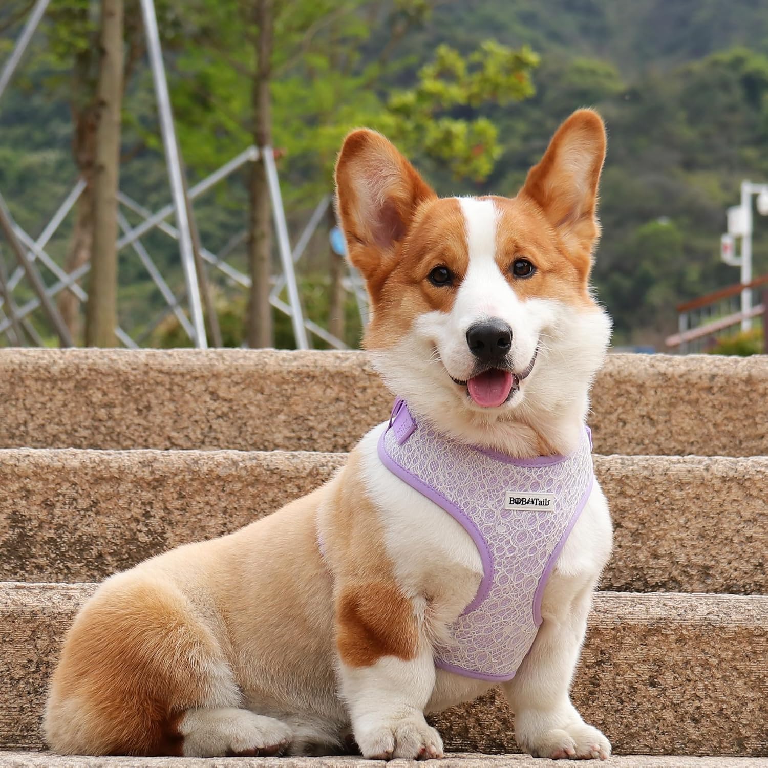 No Pull Dog Vest Harness for Small&Medium Dogs, Side Clip Adjustable Pet Vest, Soft Breathable, Fashion Dog Harnesses for Walking, Running, Shopping (Purple, S)