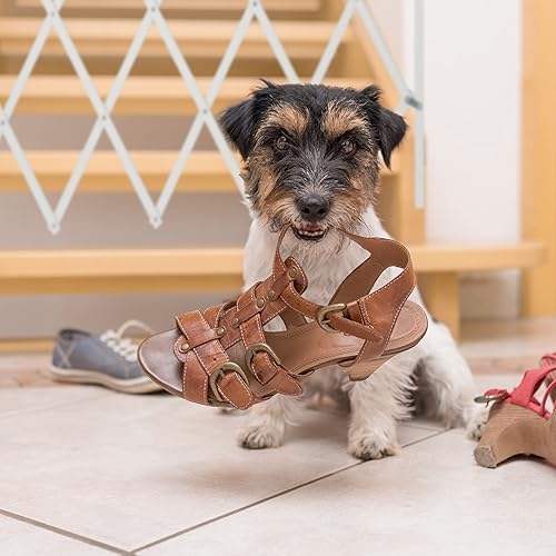 Miniatura 5 de Relaxdays Dog Barrier Gate, Extendible up to 118 cm, 69-82.5 cm High, Bamboo, Dog Safety Gate for Stairs and Doors, White
