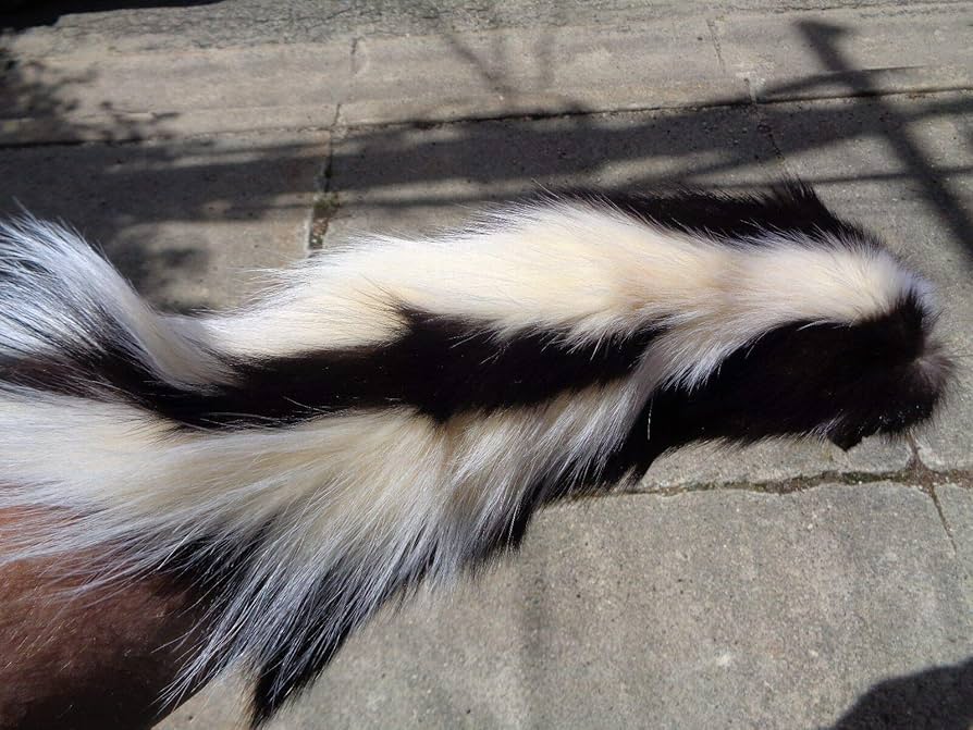 【裾周り約130cm】デミバフミンク コート なめし 裾周り約130cm】デミバフミンク コート なめし