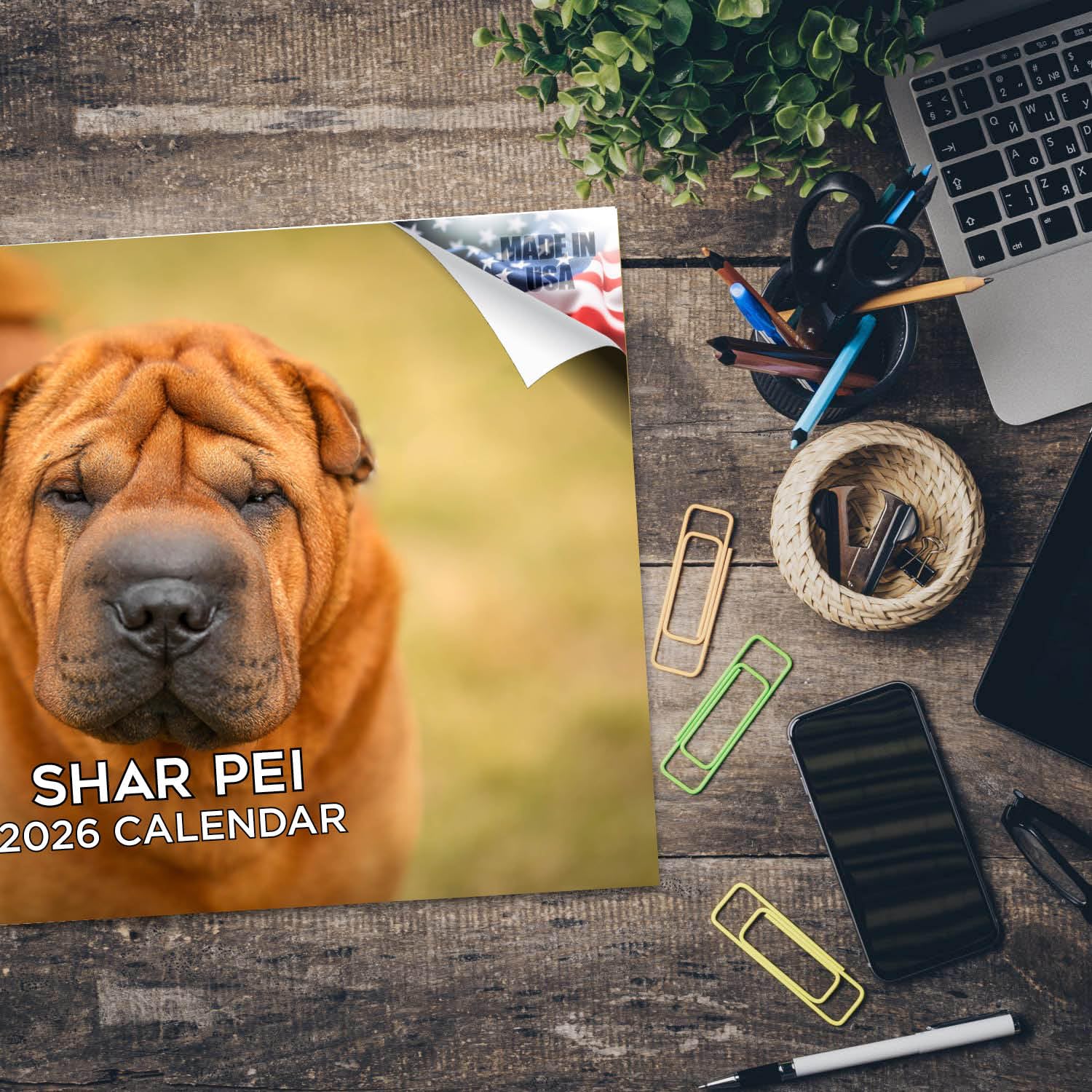 Calendario 2024 2025 Shar Pei – Calendario mensile da parete con razza canina – 30,5 x 45,7 cm aperto – carta spessa senza sbavature – regalo – calendario per insegnanti accademici per organizzare e