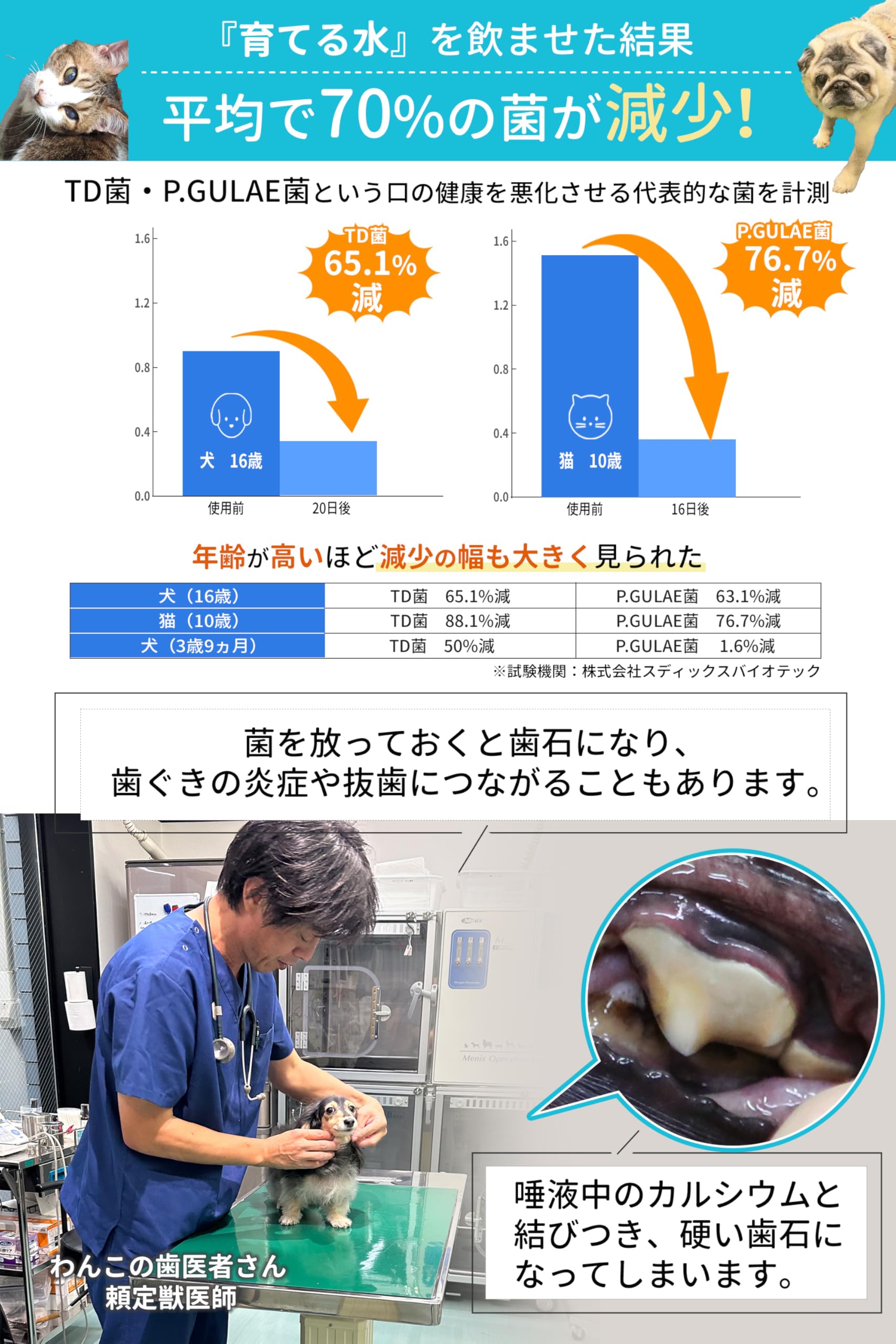 Amazon.co.jp: [ドクター裕次郎 公式] 歯科専門獣医師が実感 【 育てる
