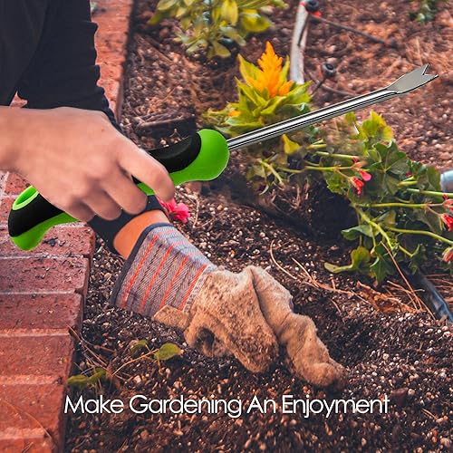 Miniatura 6 de GEARLINTON Herramienta de desbrozadora manual de jardín con mango ergonómico, extractor de malezas de césped de jardín de acero inoxidable, paquete