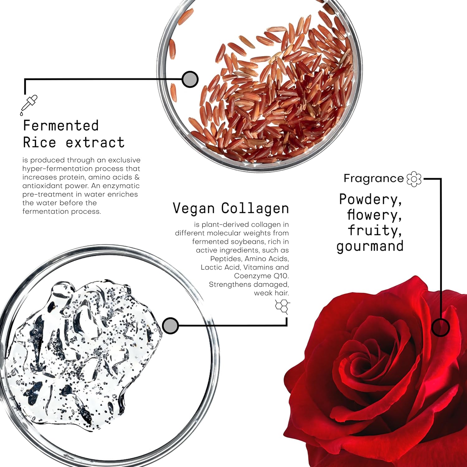 Framesi Morphosis Restructure Leave In Conditioner Spray 5.1 fl oz - Image 3