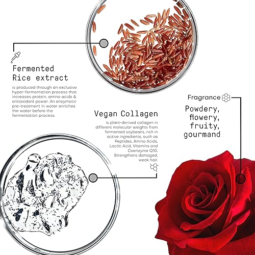 Miniatura 4 de FRAMESI Morphosis Restructure Champú 33.8 fl oz