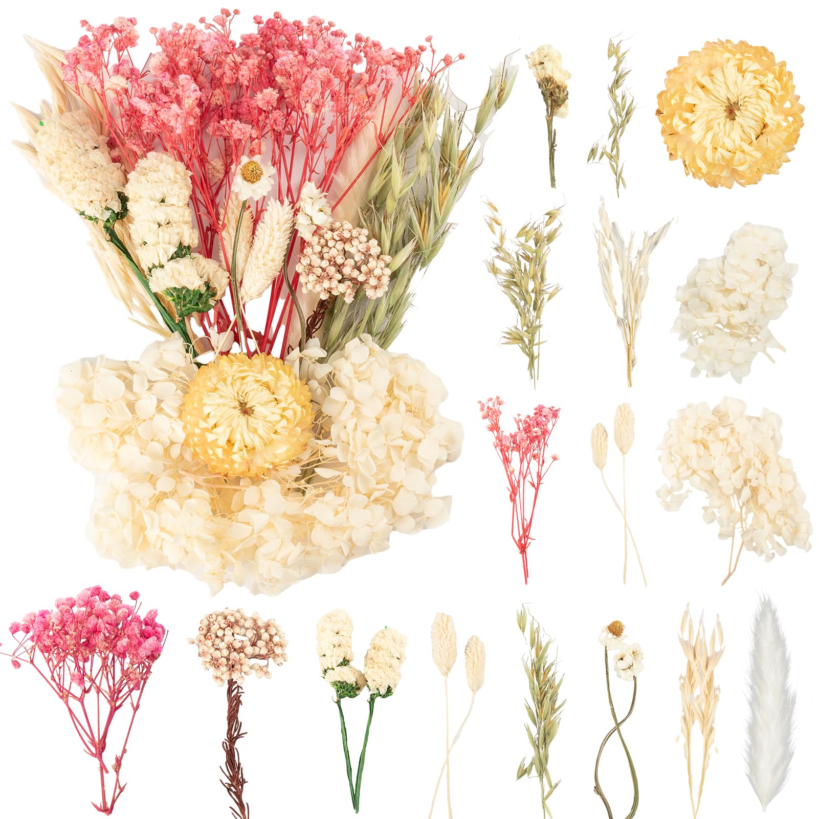 LAUMOE Trockenblumen, Getrocknete Blumen, Trockenblumen Zum Basteln Klein ​für Kunst DIY Harz Scrapbooking Handwerk Karten Machen (Stil 6)