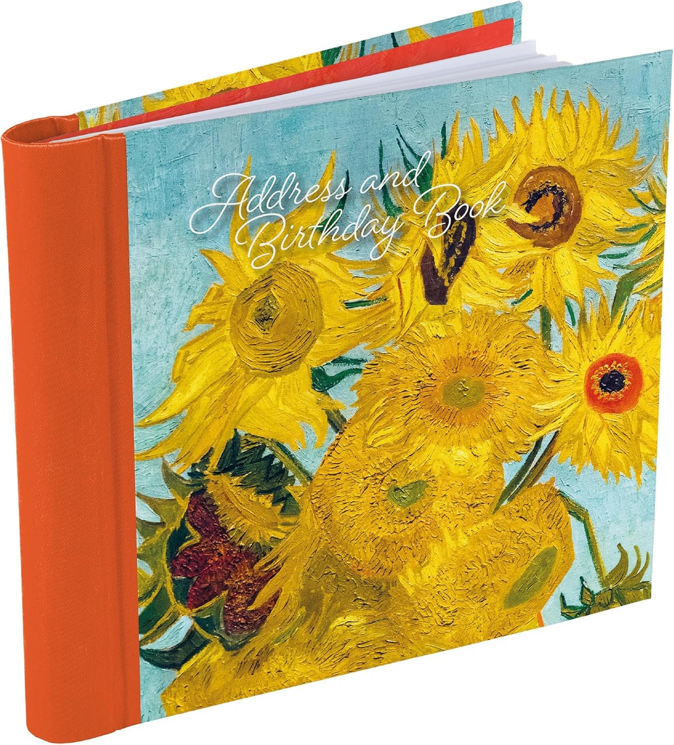 Address & Birthday Book – Address Organizer with Spiral Binding (164 x 145mm) – Contact & Birthday Reminder Book with Tab Dividers (Multicoloured Masters Collection)