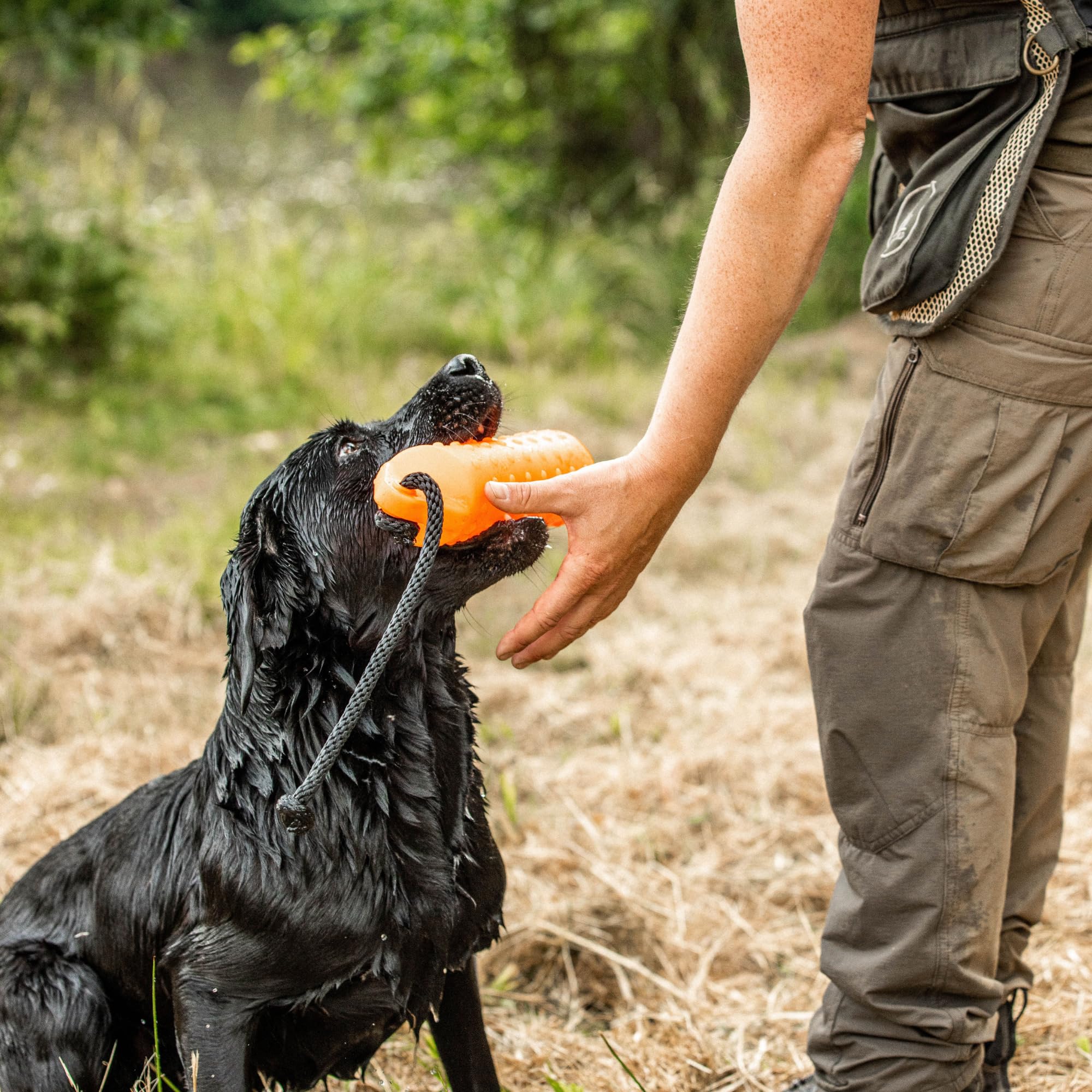 Dog & Field Gundog Water Dummy Jouet flottant pour chien avec cordon de lancement Orange Grande taille Flotteur d'eau en caoutchouc pour entraînement et récupération