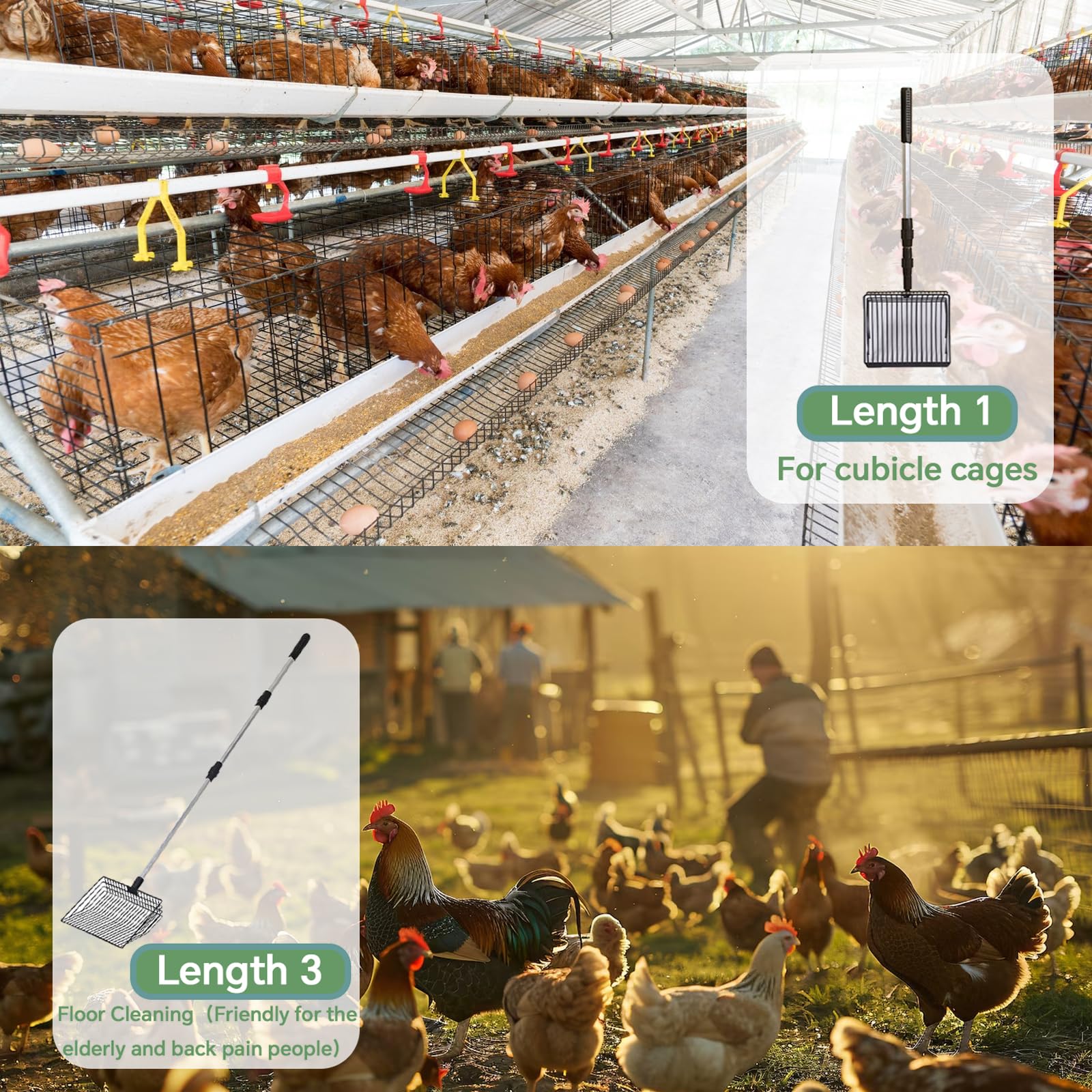 Pala para excavar pollos, pala extensible para gatos de aleación de aluminio, pala de pollo ajustable, accesorio para gallinero, adecuado para limpiar excrementos de gatos y pollos