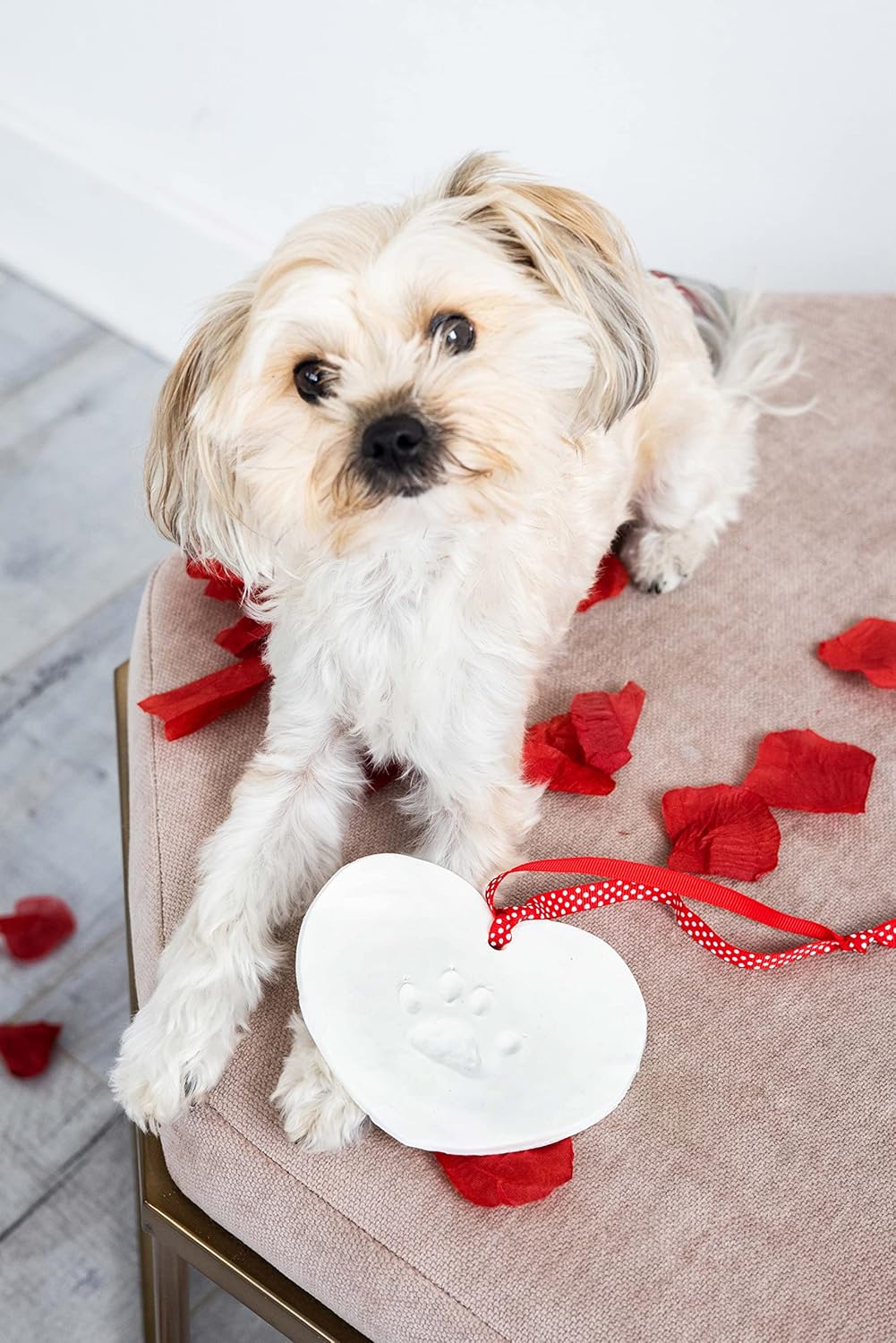 Pearhead Pet Pawprints Holiday Ornament Keepsake Kit, Heart-Shaped Clay Paw Print DIY Ornament, Christmas Pet Memorial Gift for Dog or Cat (Pack of 12)