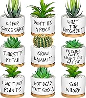 Domensi 9pcs Funny Ceramic Succulent Pots with Bamboo Trays - Cute Cactus Aloe Planters for Desk Decor, Indoor Gifts