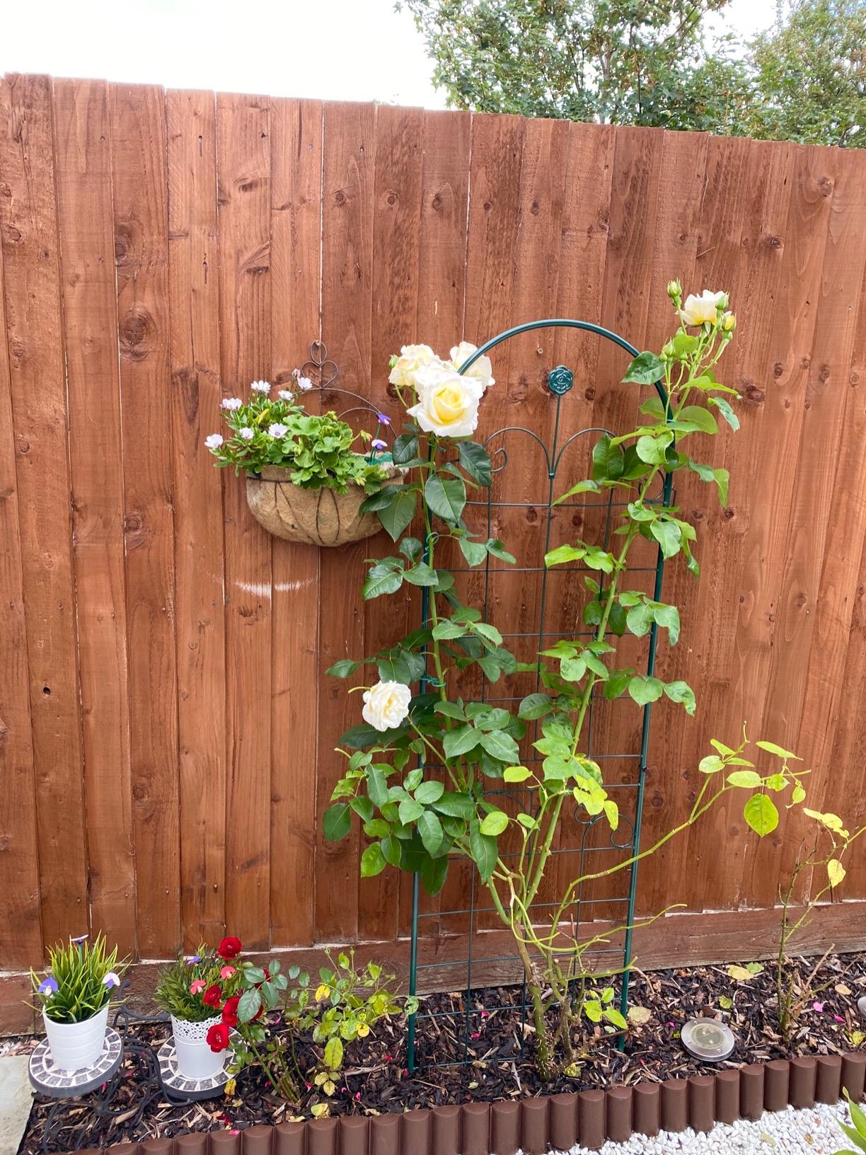 Customer photo
