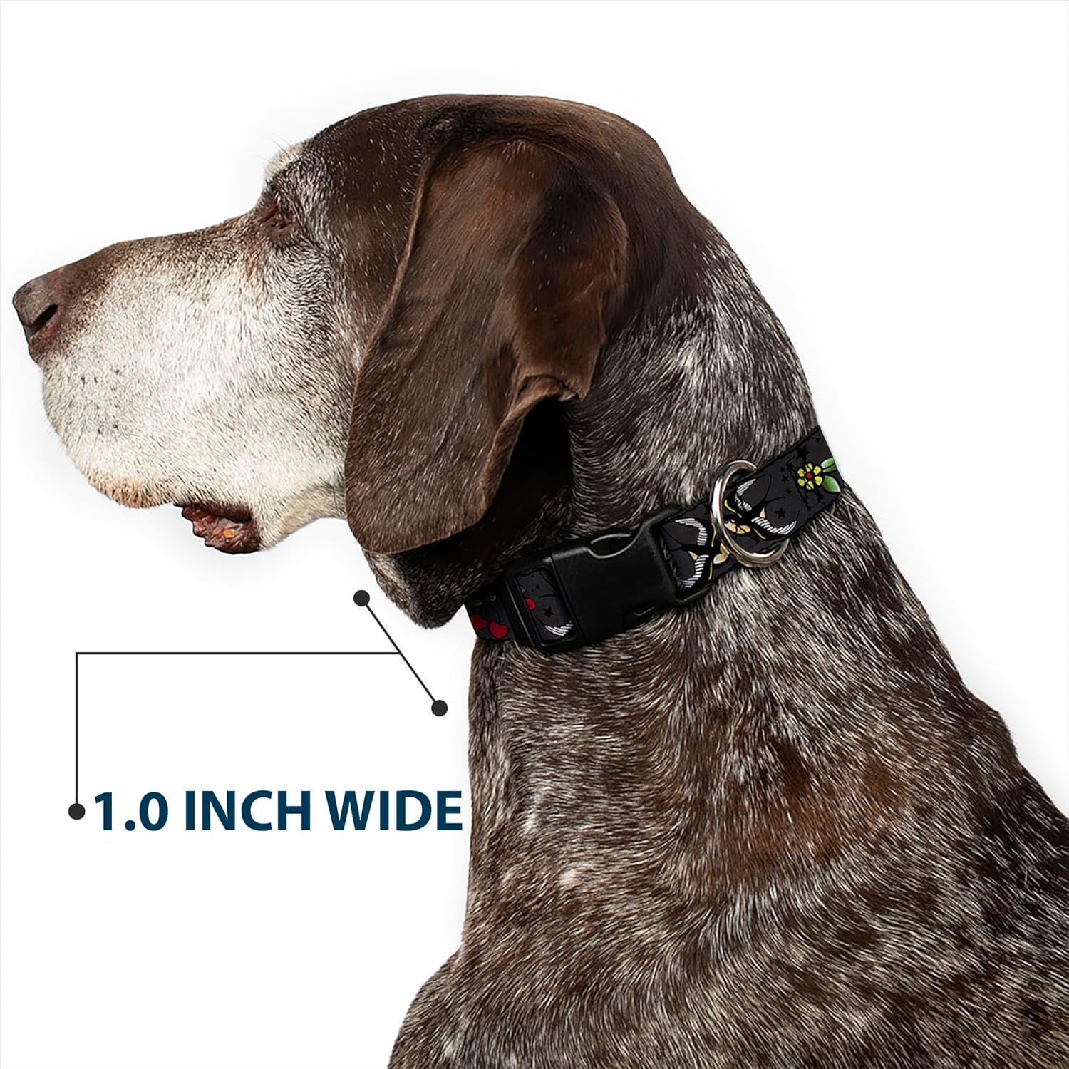 Buckle-Down 18-32" Lucky Close-Up Gray Plastic Clip Collar, Wide Large