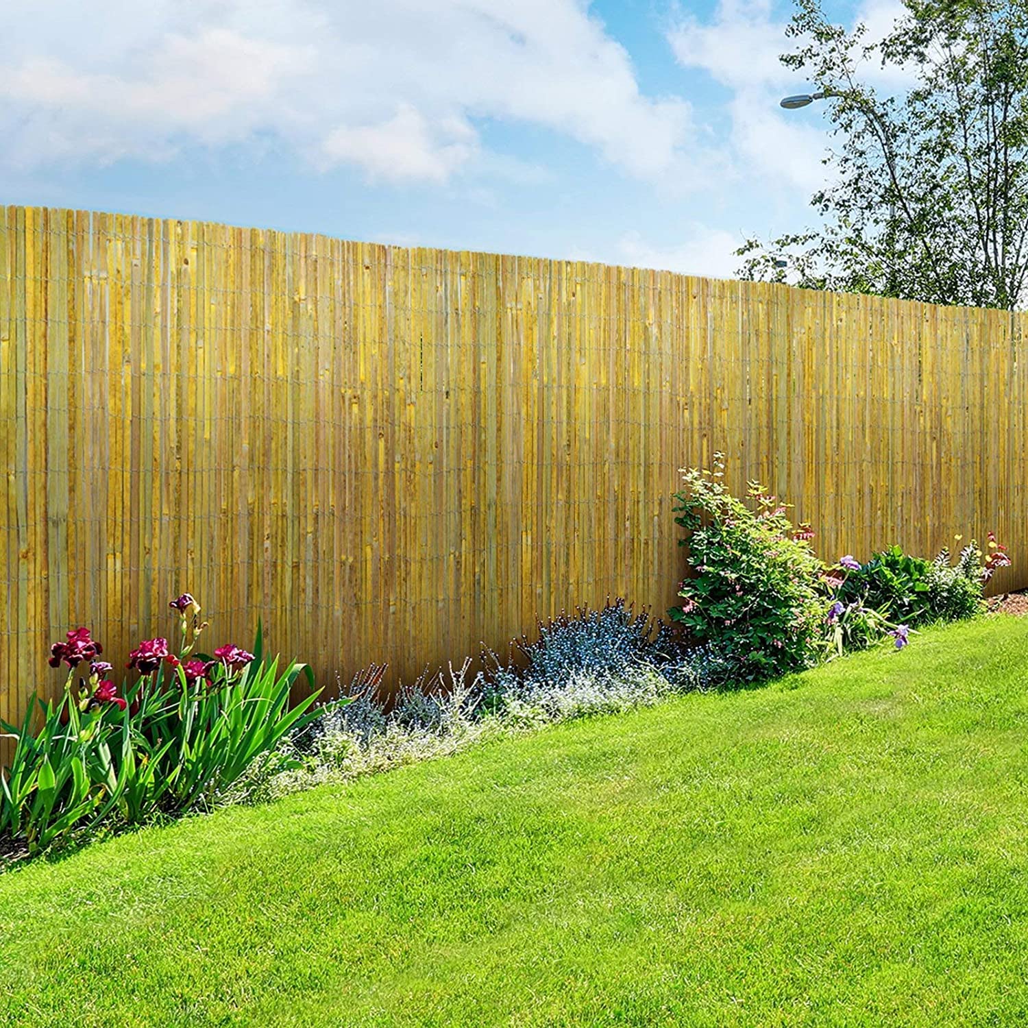 Floordirekt | Brasil | Canisse en Bambou Fendu Naturel | Clôture en Bambou Pare-Vue - Coupe-Vent Naturel | Qualité supérieure | Idéale pour Jardin, Balcon et terrasse | 150 x 300 cm