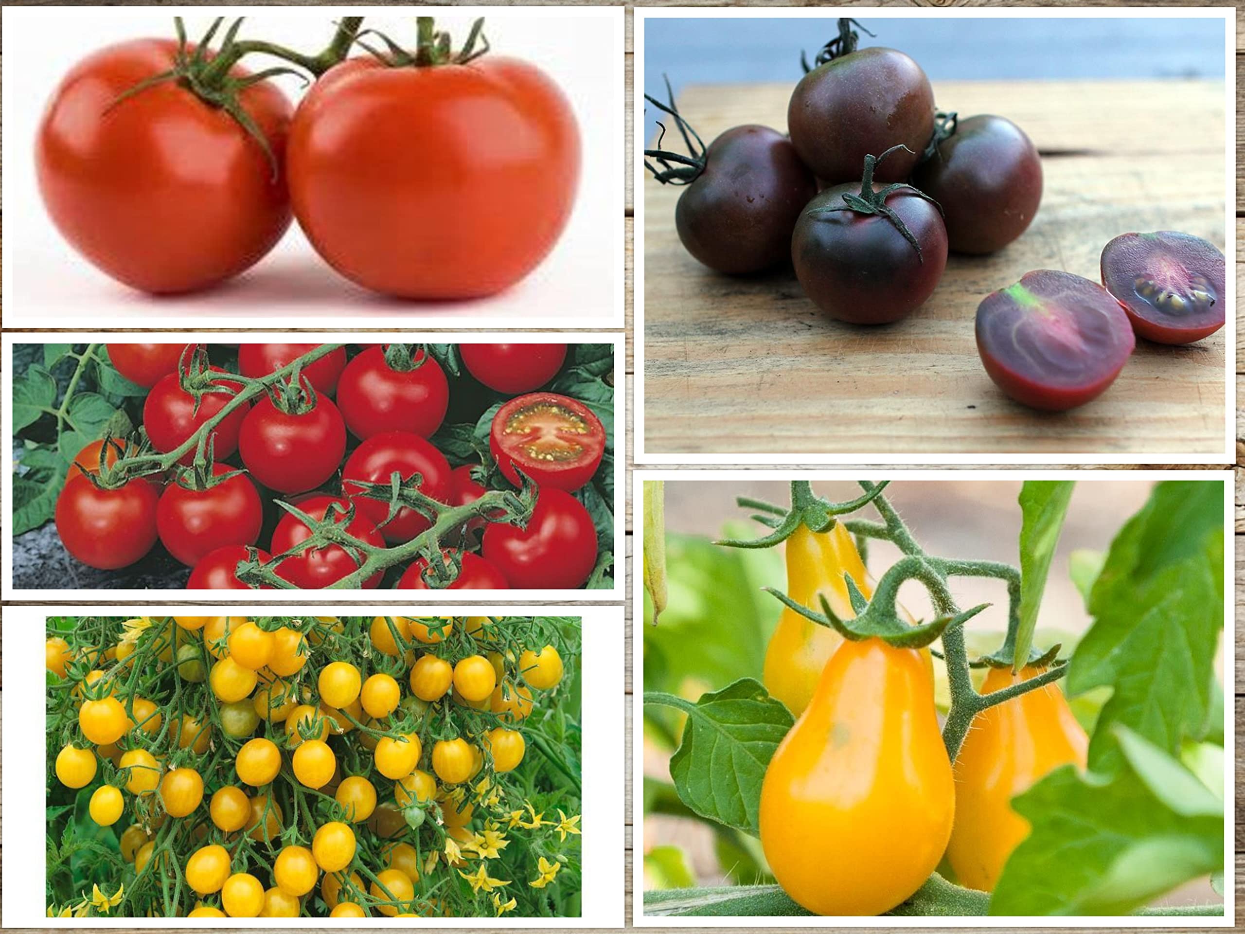 OL Seeds - 5 Varieties of Tomato Seeds Combo For Your Garden (B0B3SBHY4W) Amazon Price History, Amazon Price Tracker