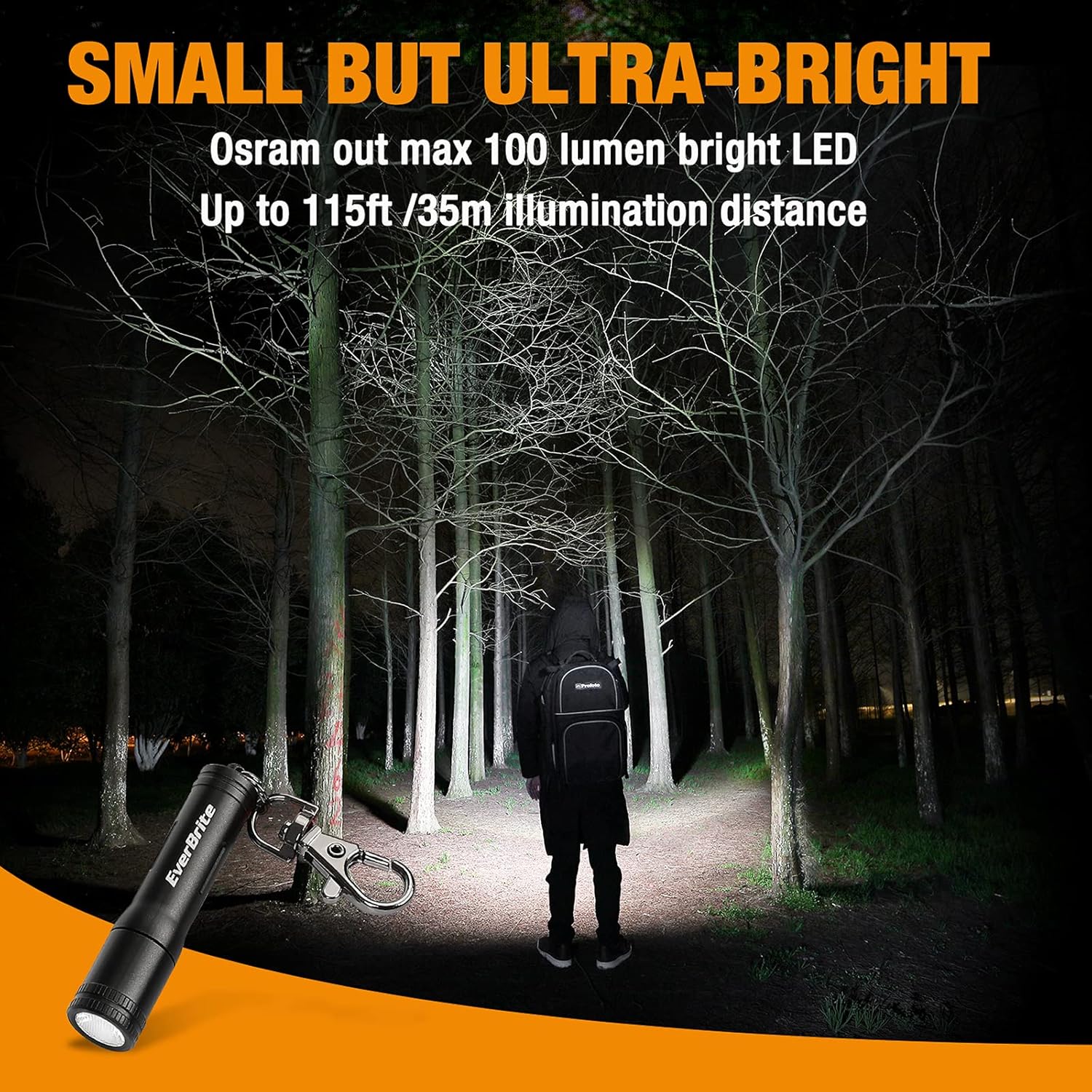 EverBrite Mini LED Flashlight High Lumen Keychain EDC Flashlight, Small Pocket Pen-Light for Hurricane Supplies, Camping, Hiking, Emergency, Hunting, 1 AAA Battery(Include), Black